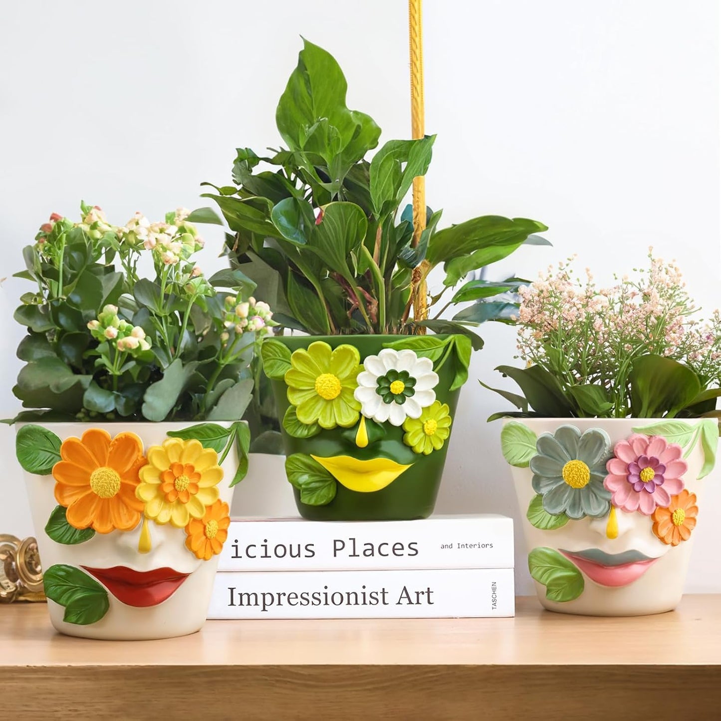 AmiCera Abstract Face Plant Pots, Funny Flower Planter Pot for Indoor Plants, Unique Cute Head Planters with Drainage, Eclectic Aesthetic Colourful Succulent Pots, Funky Garden Gift Home Decoration