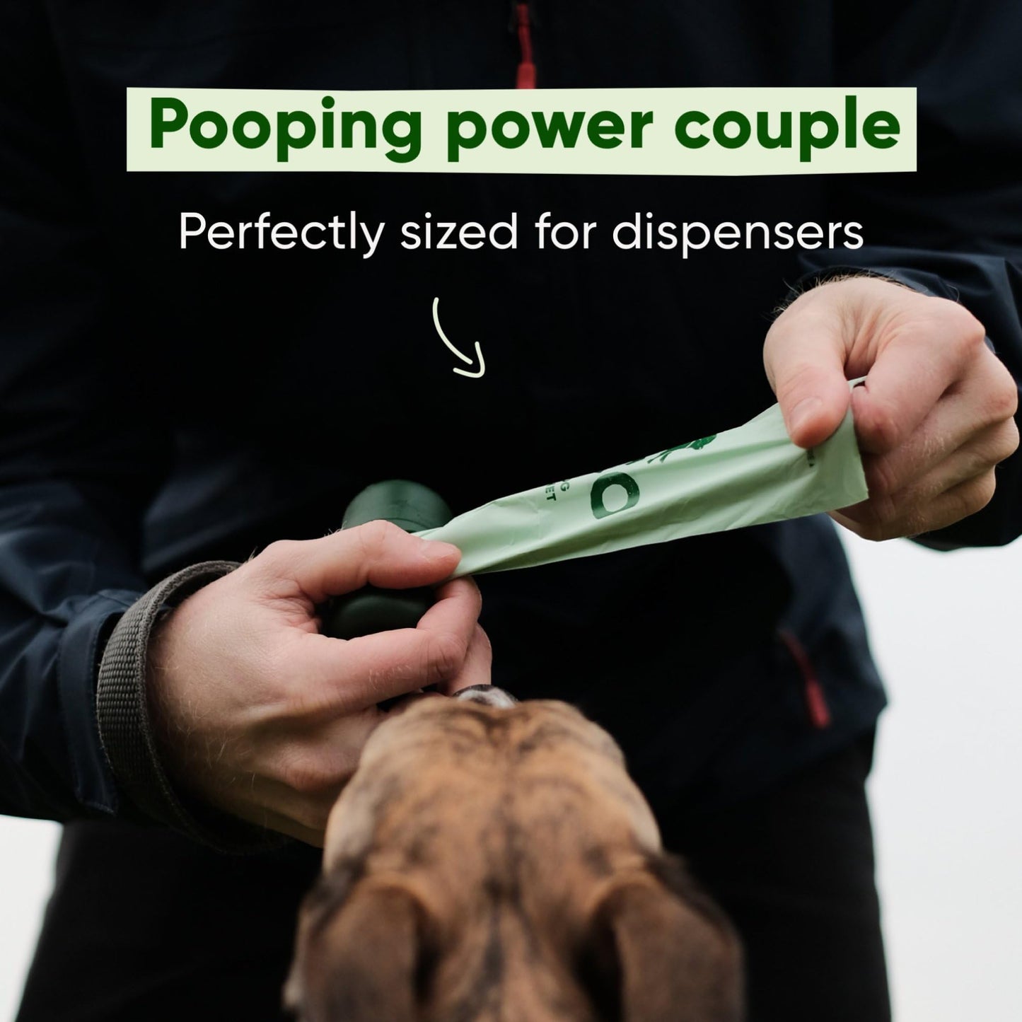 Beco Dog Poop Bags Rolls - Strong & Large - Scented and Unscented Dispenser Compatible for Dog Waste