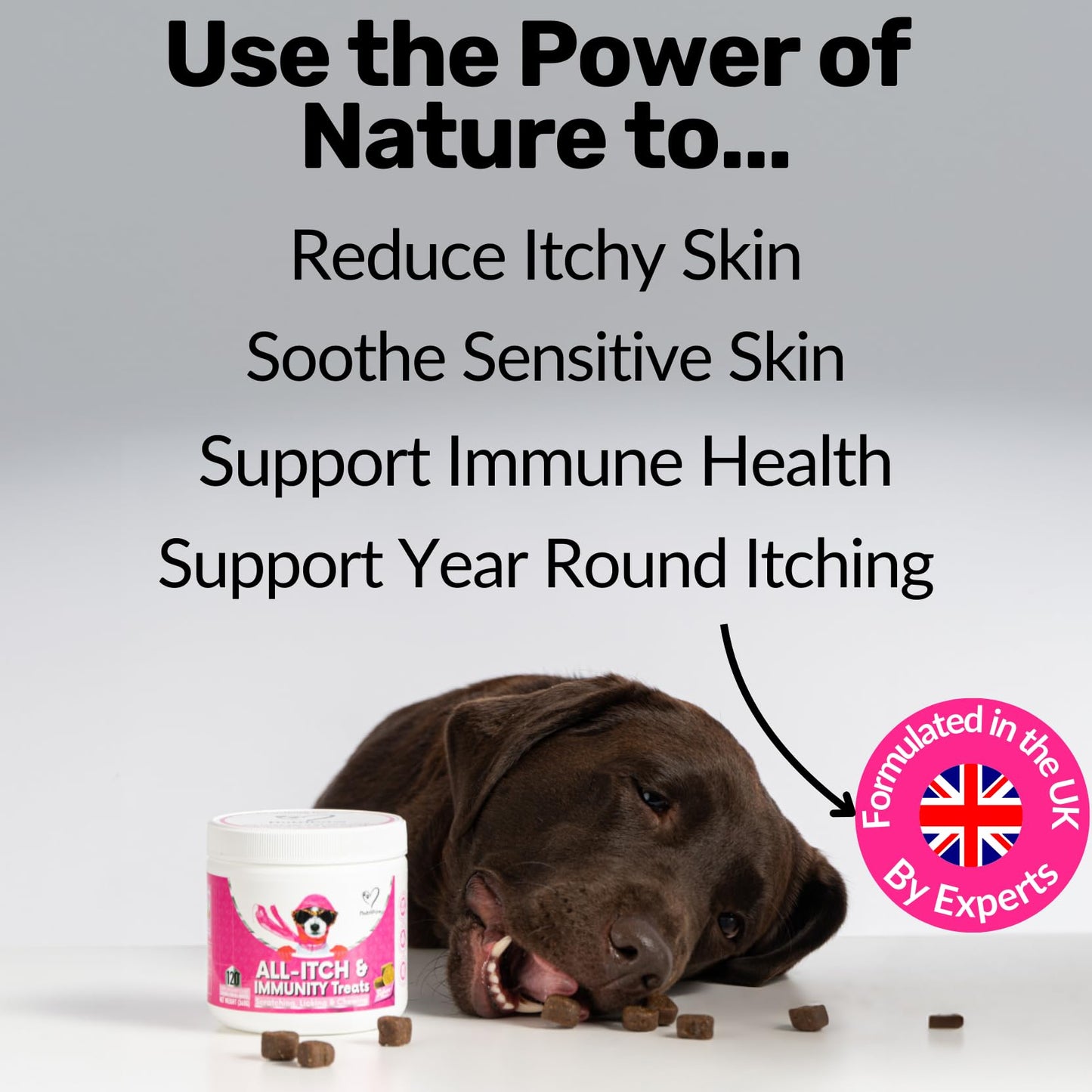 NutriPaw All-Itch, Flea & Tick Treats For Dogs - Soothe Itchy Paws, Eyes, Ears, Skin - Naturally Control Fleas & Ticks - Good for Small, Medium & Large Dogs - Supports Seasonal Itching