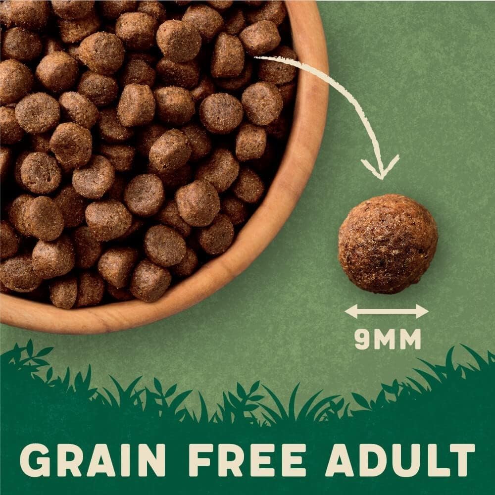 Harringtons Superfoods Complete Grain Free Hypoallergenic Dry Adult Dog Food - Made with All Natural Ingredients