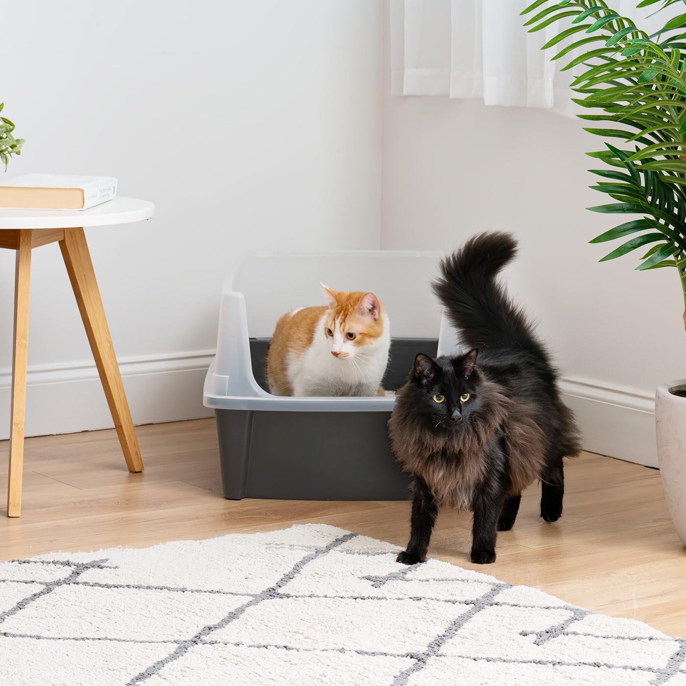 Iris Ohyama Cat Litter Tray with Scoop, Grey, Easy to Clean, Cat Litter Box, Detachable Spill Preventing Walls, For Kittens, Adult Cats, Rabbits, BPA Free, Open Top, Modern, CLH-12