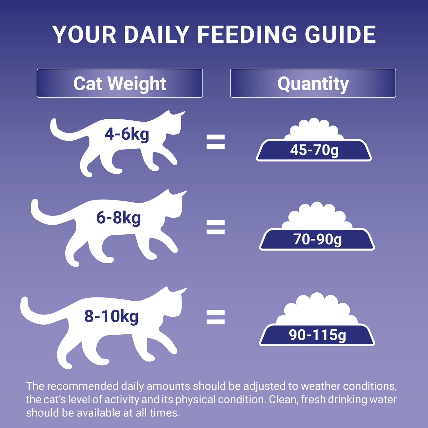 PURINA ONE Dry Cat Food