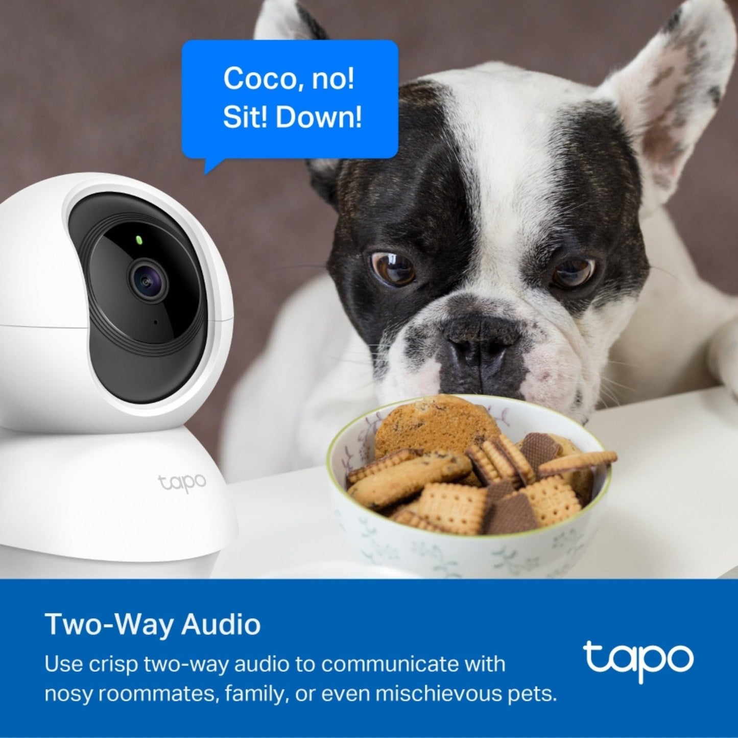 Tapo C210 2K 3MP Pan/Tilt Indoor Camera House Security Camera, WiFi Camera, No Monthly Fee, AI Detection, Dog Puppy Camera, Baby Camera Monitor, 360° View, Night Vision, Works with Alexa & Google
