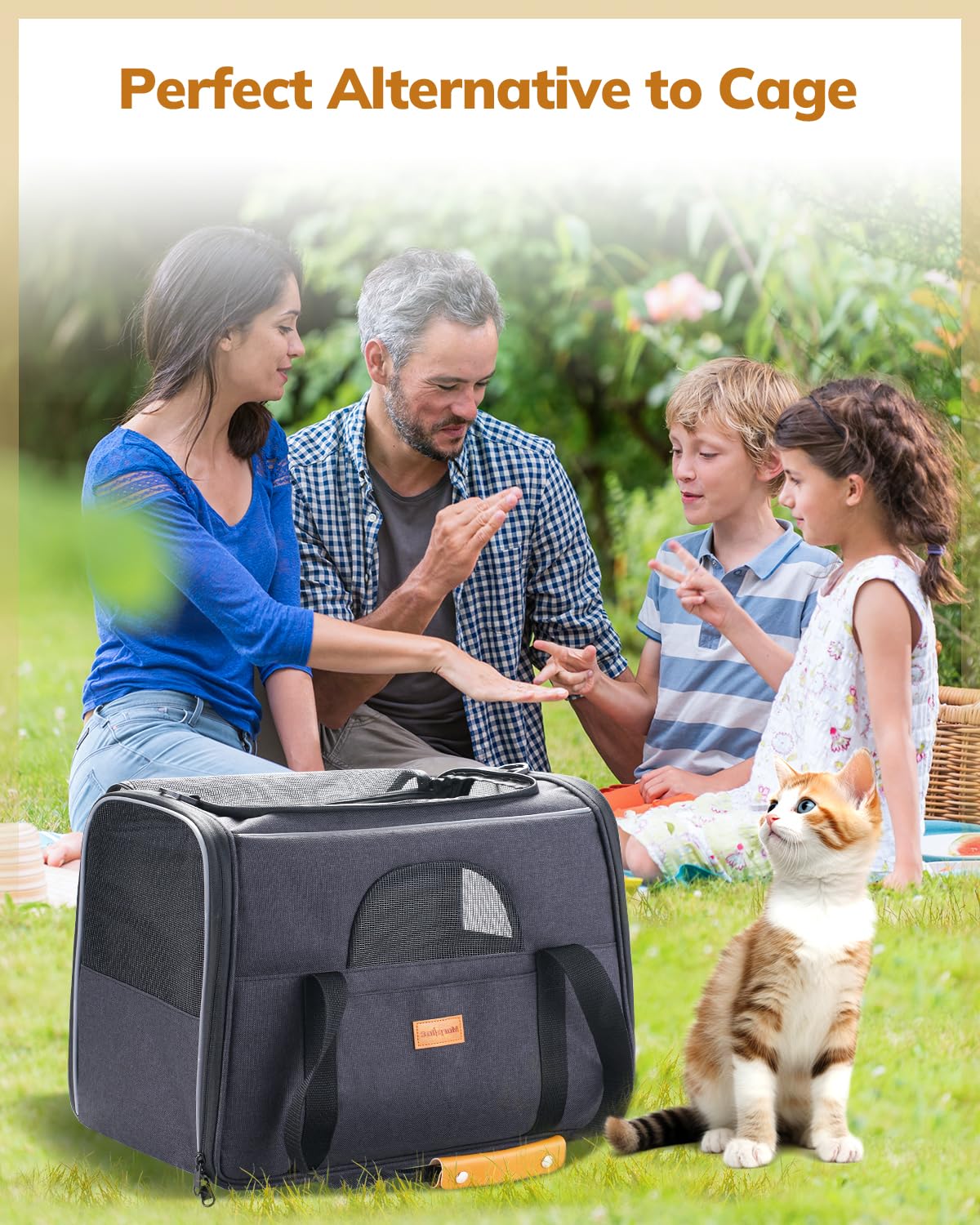 Morpilot Portable Pet Carrier Bag, Top Opening, Removable Mat and Breathable Mesh, Foldable Transport Carrier for Dogs and Cats, with Shoulder Strap and Pet Bowl