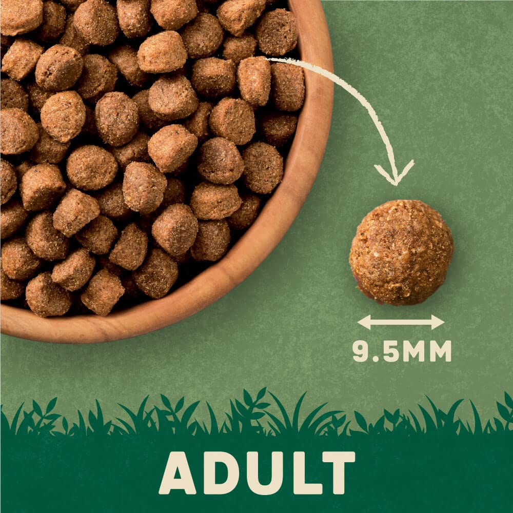 Harringtons Complete Dry Dog Food - Made with All Natural Ingredients