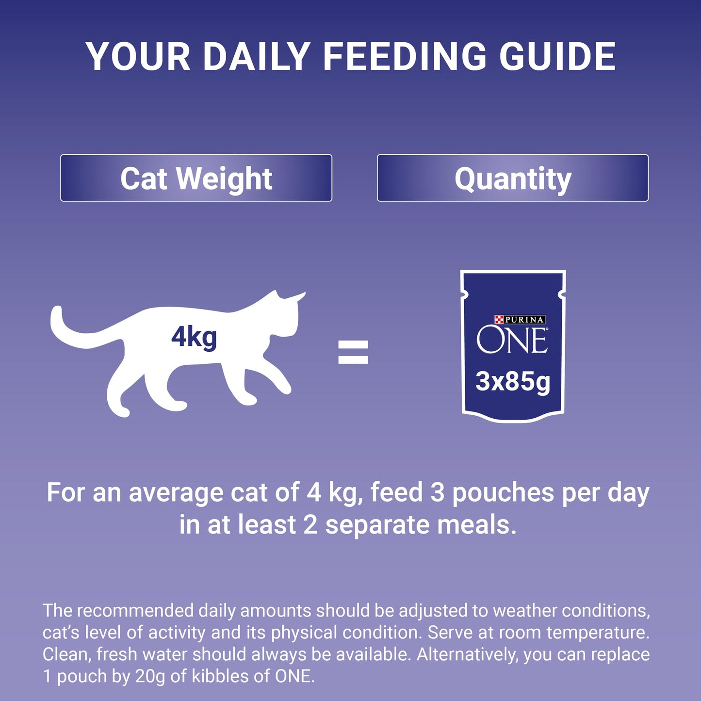 PURINA ONE Adult Cat Food Mini Fillets in Gravy 40 x 85g