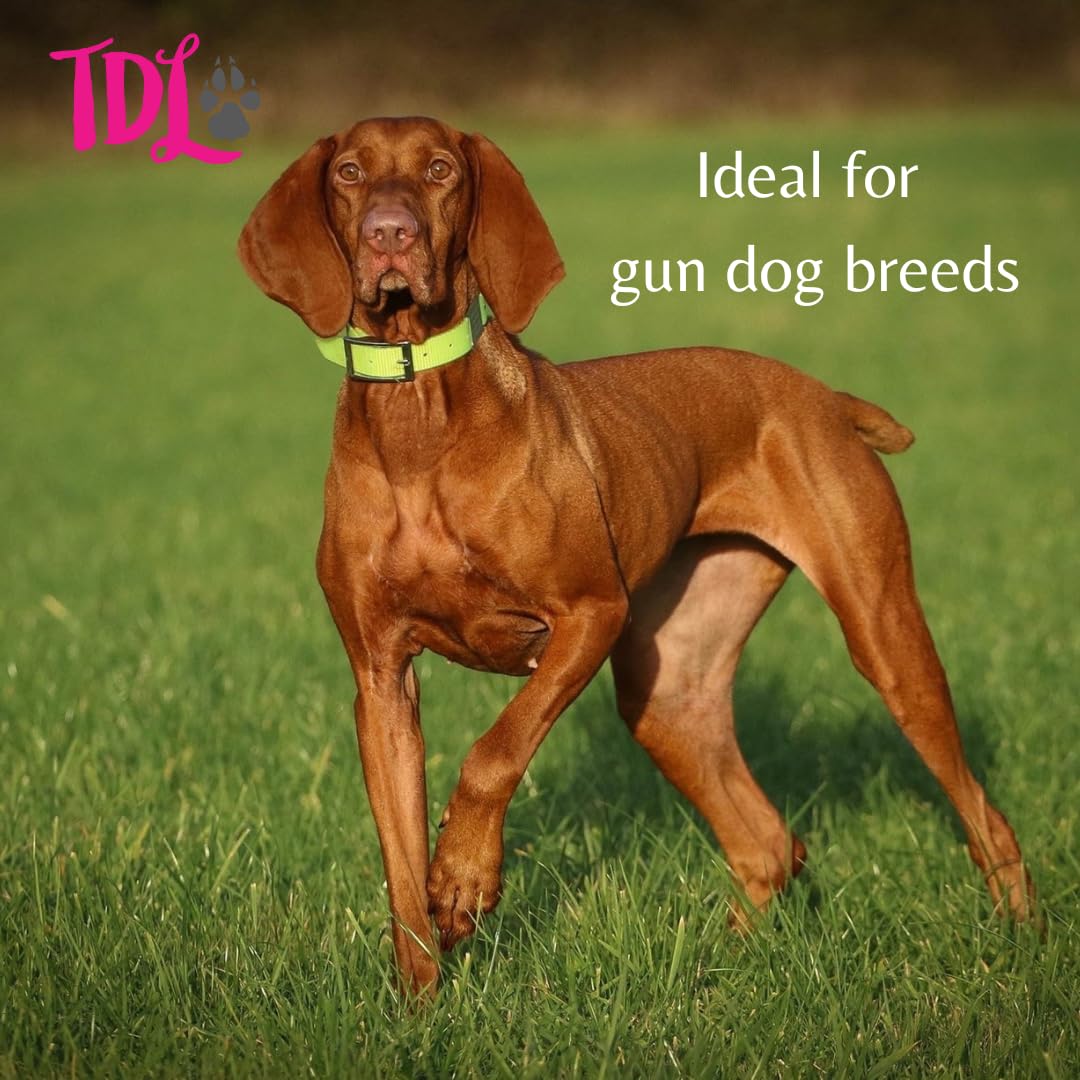 TDL Gun Dog Training Whistle with Lanyard - Dog Whistle with Loud, Solid Tone & Far Reaching Sound - Ideal High-Frequency Long-Distance Dog Recall Whistle for Most Breeds