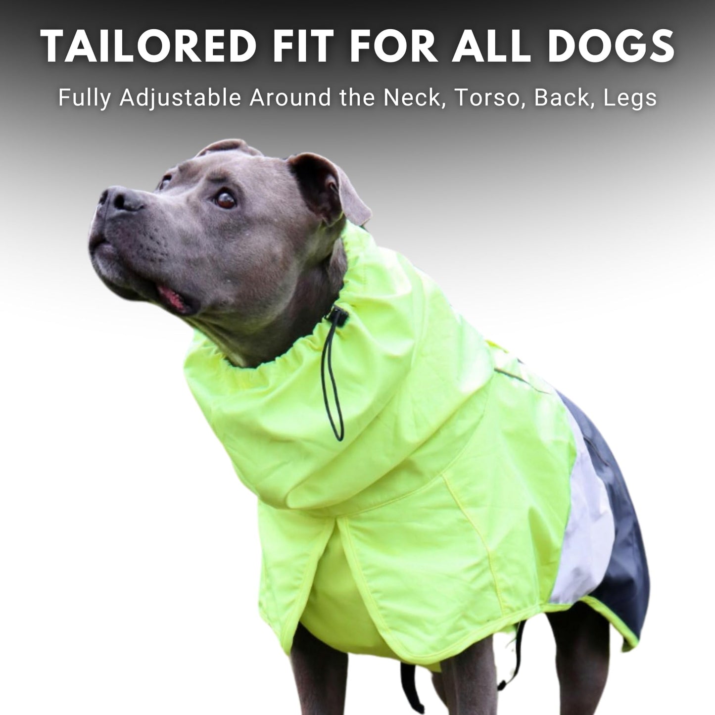 Spark Paws Dog Raincoat, Waterproof Windproof Rain Jacket, For Small Medium Large Extra Large Dogs, Reflective Breathable Full-body Coverage Dry Suit - Neon White Navy Blue, 2XL