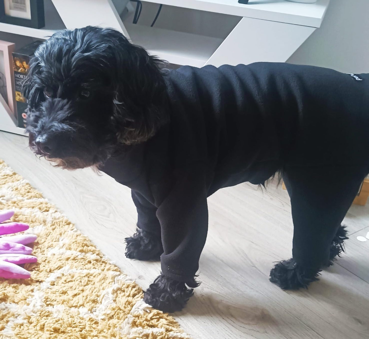 Warm Four-Legged Dog Fleece – Super Soft, Weather-Resistant, Available in a Range of Sizes and Colours