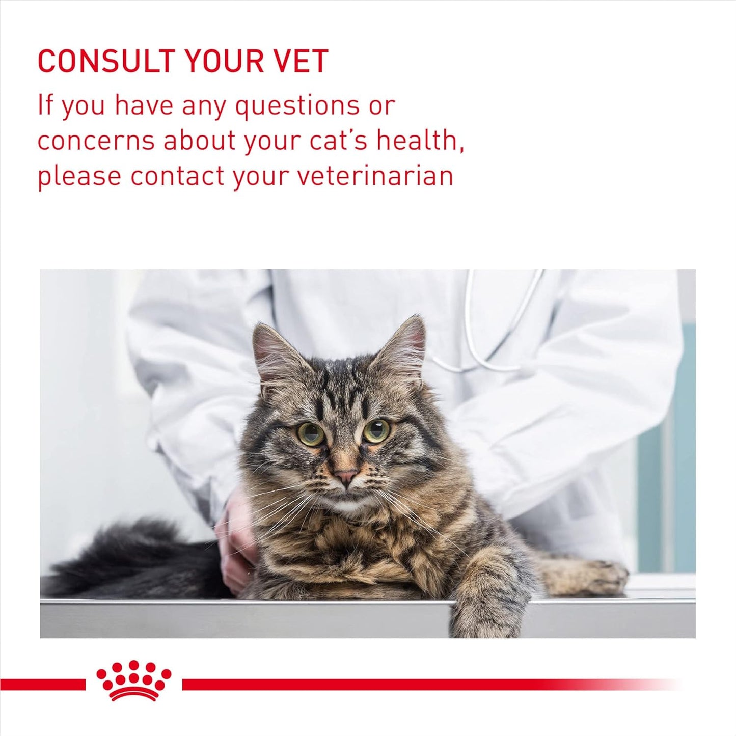 Royal Canin Maine Coon Adult Cat Food 85g x 12