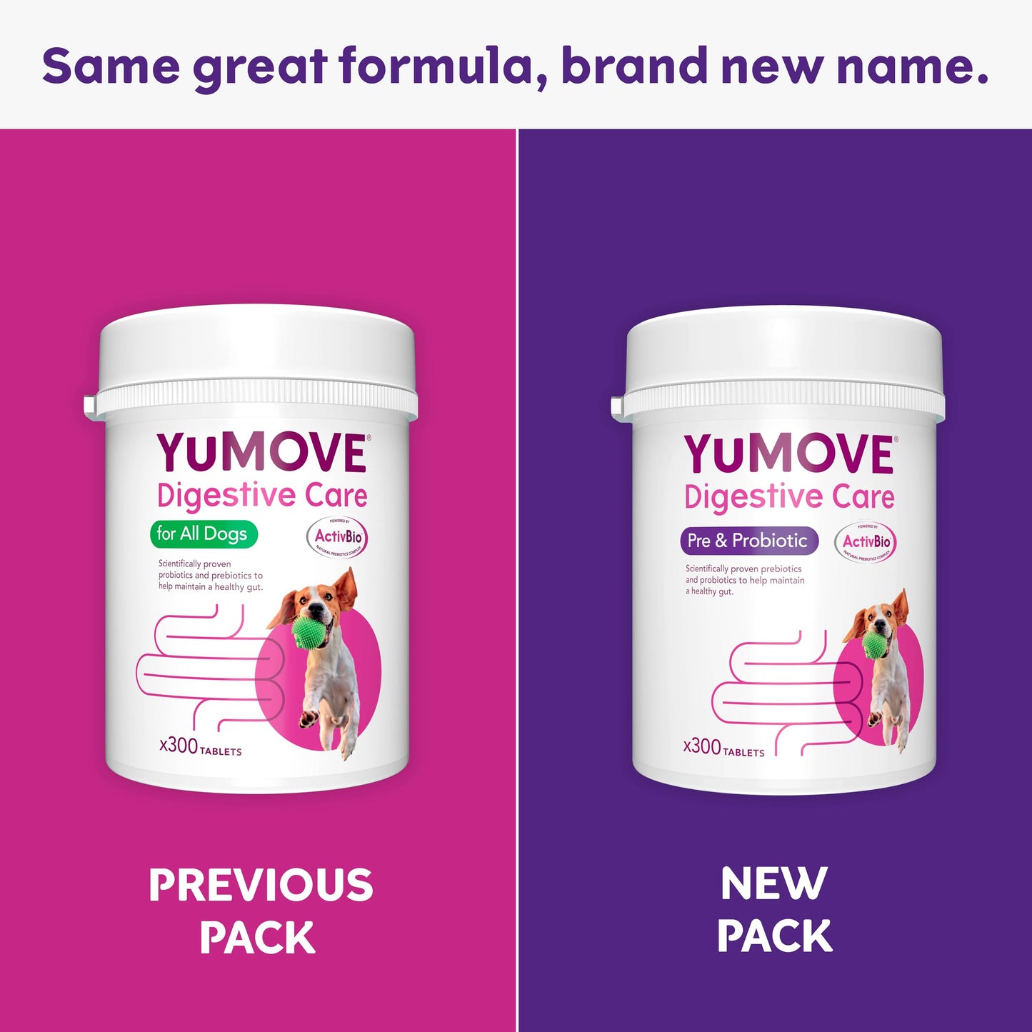 YuMOVE Digestive Care, Dog Pre and Probiotics Supplement for Gut Health, Digestive Support for All Ages and Breeds, 120 Tablets - Eco Friendly and Letter Box Ready Packaging