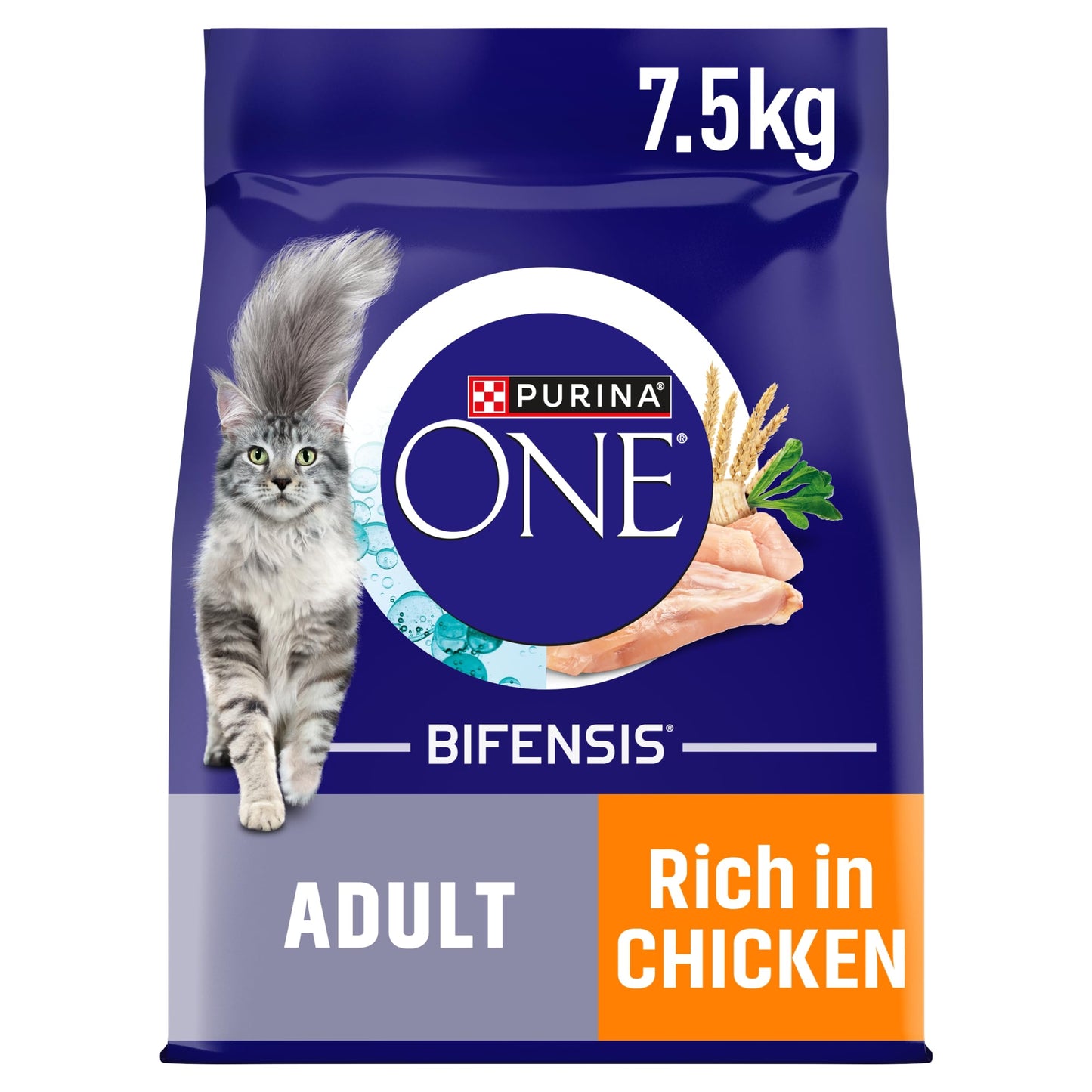 PURINA ONE Dry Cat Food