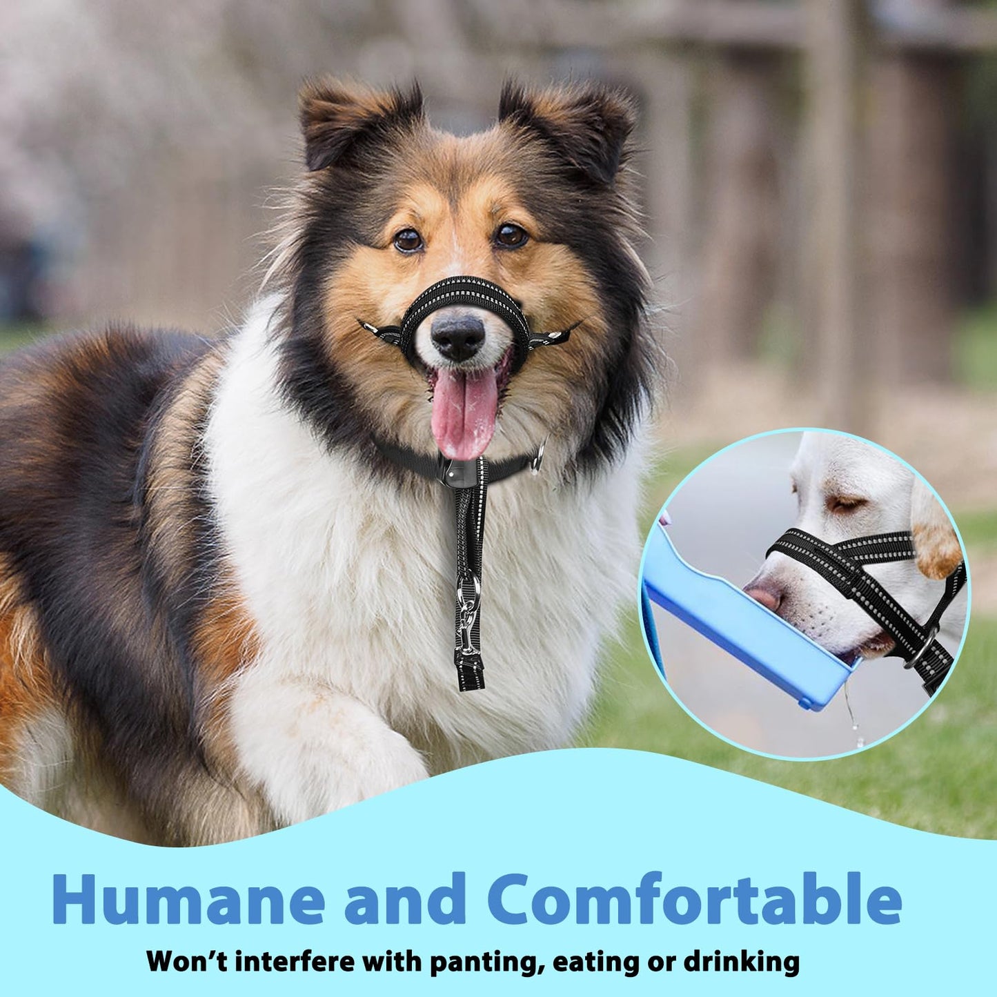 Mayerzon Dog Head Collar with Soft Padded, Gentle Leader for Medium Large Dogs, No Pull Head Harness, Anti Pull Adjustable Reflective Training Head Halter Collar (M)