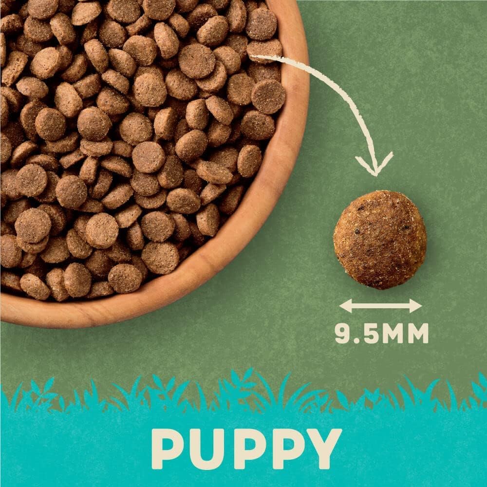 Harringtons Complete Dry Dog Food - Made with All Natural Ingredients