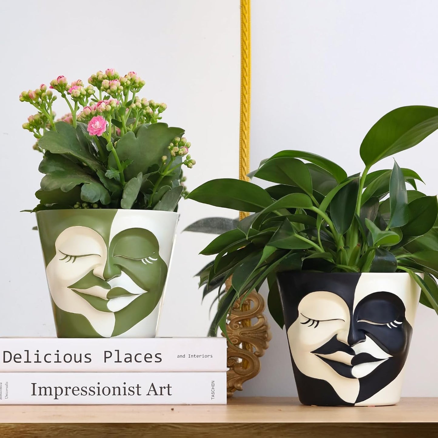 AmiCera Abstract Face Plant Pots, Funny Flower Planter Pot for Indoor Plants, Unique Cute Head Planters with Drainage, Eclectic Aesthetic Colourful Succulent Pots, Funky Garden Gift Home Decoration