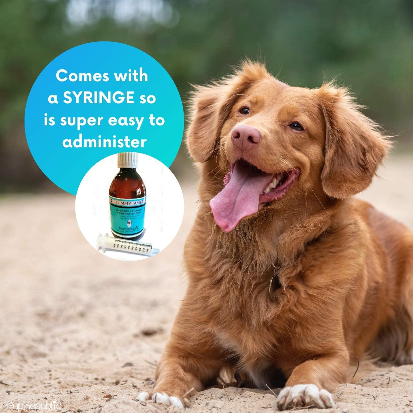 PupRepublic Fast Acting dog diarrhea treatment - Digestive Disorders - More Effective than Kaolin - Sickness & Allergy Relief for Dogs of All Breeds & Sizes