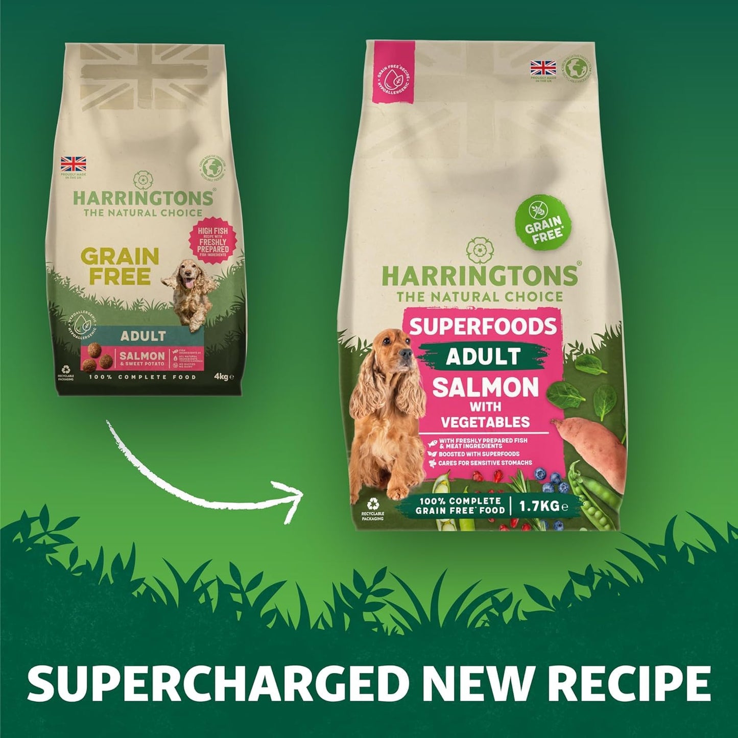 Harringtons Superfoods Complete Grain Free Hypoallergenic Dry Adult Dog Food - Made with All Natural Ingredients