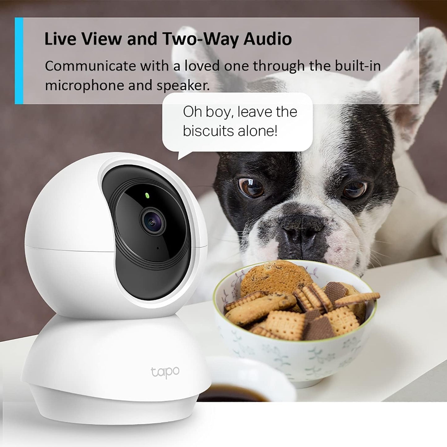 Tapo C210 2K 3MP Pan/Tilt Indoor Camera House Security Camera, WiFi Camera, No Monthly Fee, AI Detection, Dog Puppy Camera, Baby Camera Monitor, 360° View, Night Vision, Works with Alexa & Google
