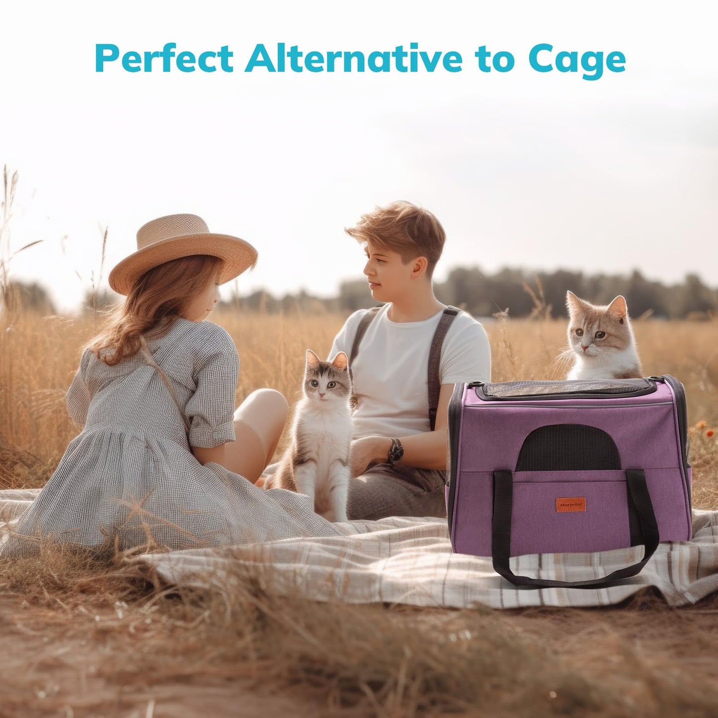 Morpilot Portable Pet Carrier Bag, Top Opening, Removable Mat and Breathable Mesh, Foldable Transport Carrier for Dogs and Cats, with Shoulder Strap and Pet Bowl