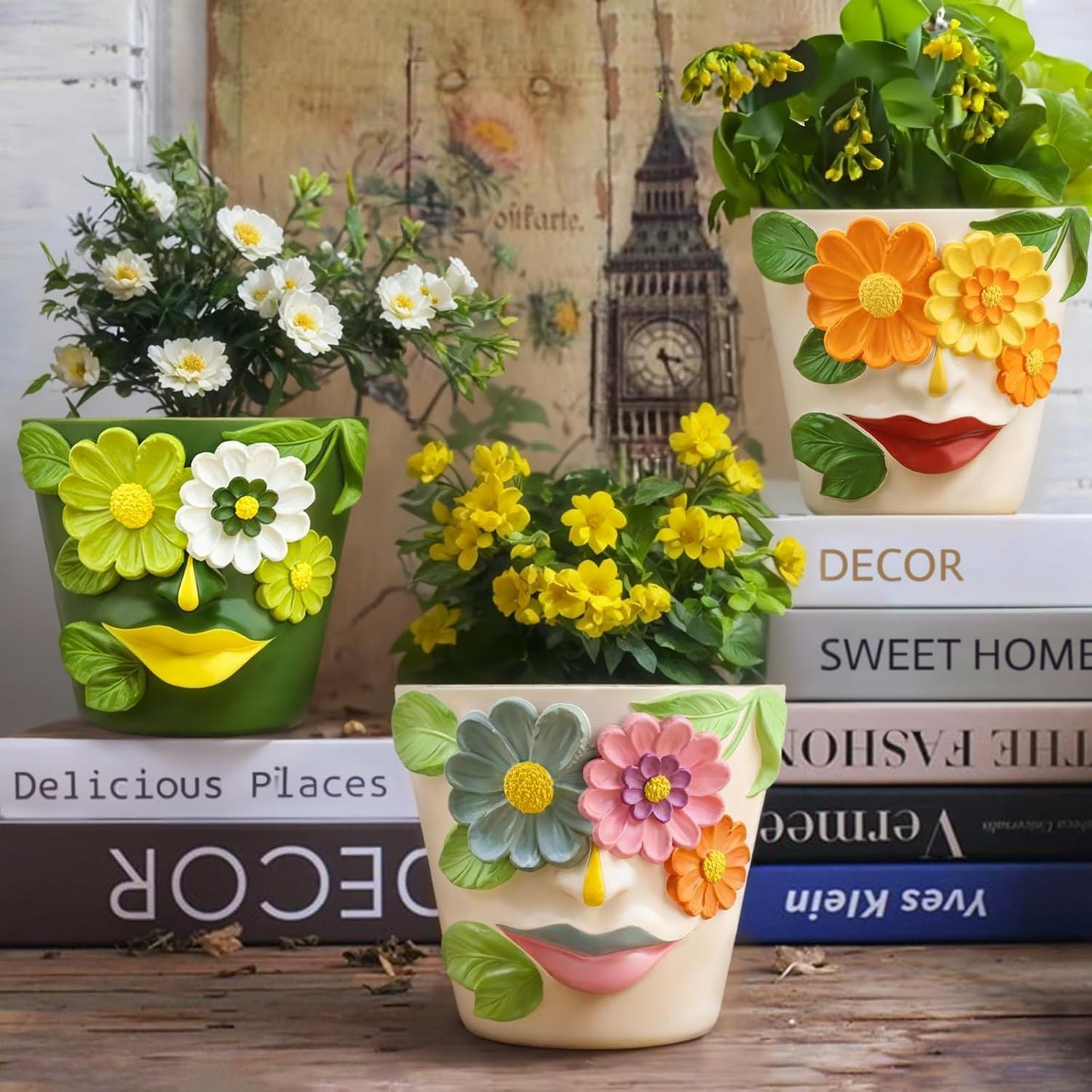 AmiCera Abstract Face Plant Pots, Funny Flower Planter Pot for Indoor Plants, Unique Cute Head Planters with Drainage, Eclectic Aesthetic Colourful Succulent Pots, Funky Garden Gift Home Decoration
