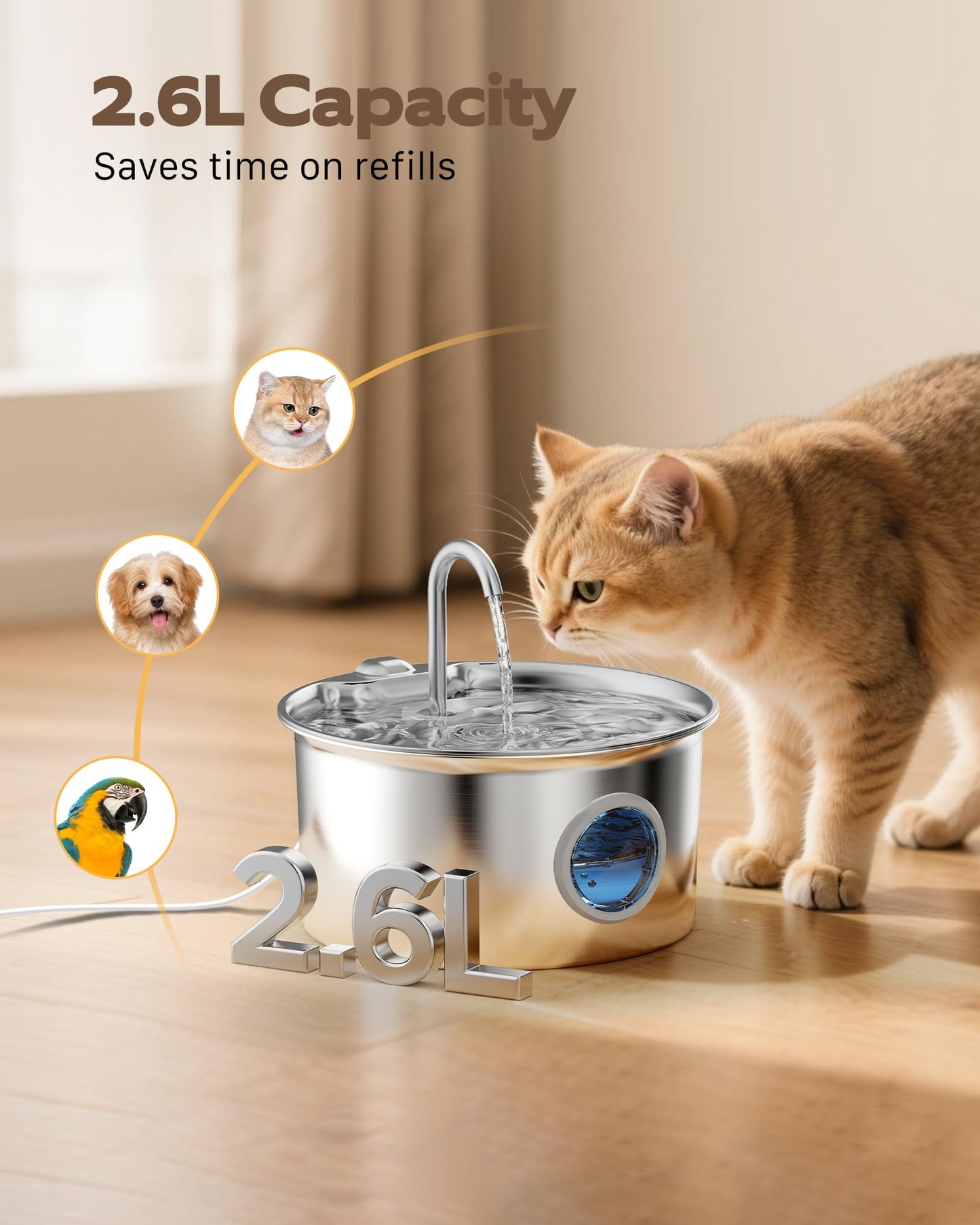Cat Water Fountain for Drinking: Stainless Steel Cat Fountain - 2.6L Water Fountains Cats Bowl automatic - Silent Pet Water Fountain Indoor - Pet Drinking Fountain with Visible Water Level Window