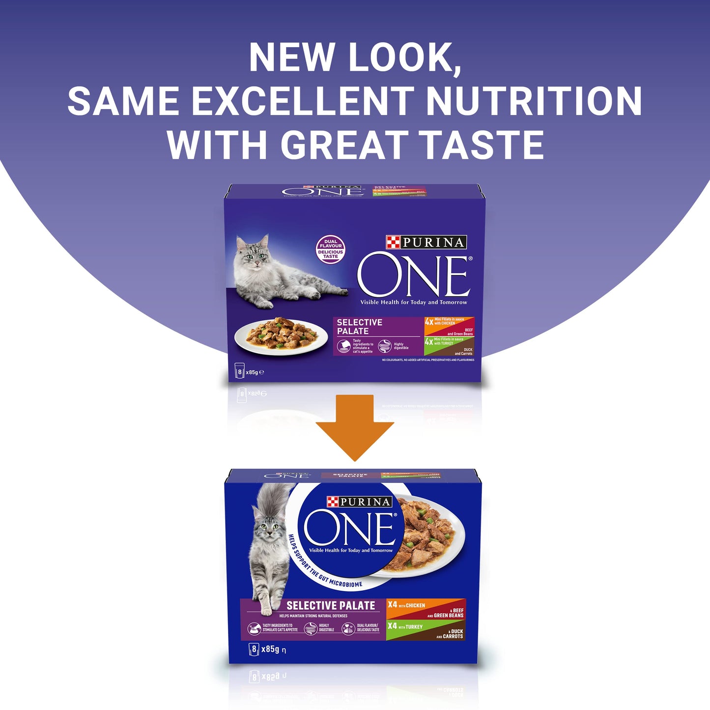 PURINA ONE | Dry Cat Food