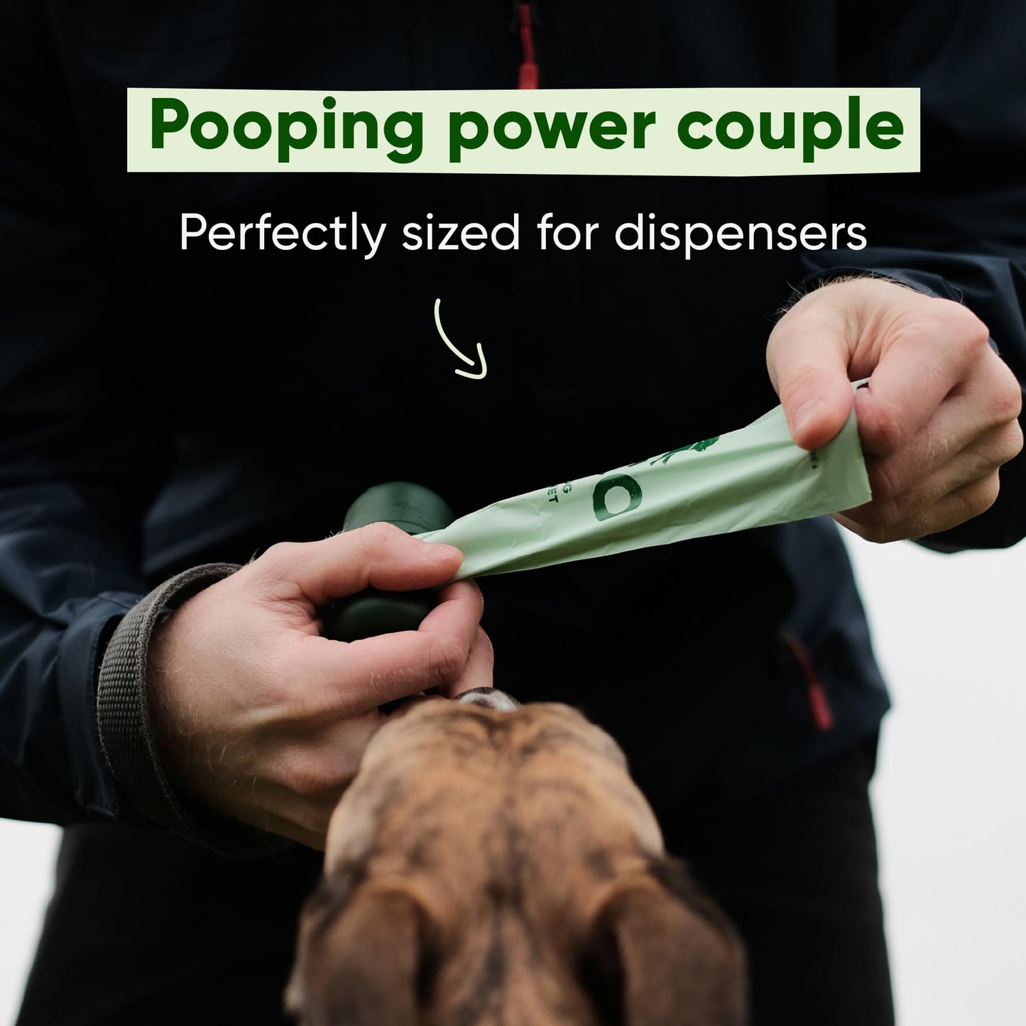 Beco Dog Poop Bags Rolls - Strong & Large - Scented and Unscented Dispenser Compatible for Dog Waste