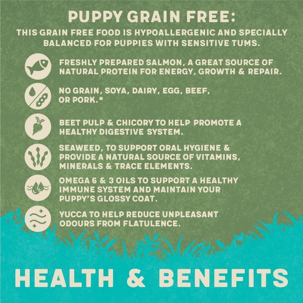 Harringtons Superfoods Complete Grain Free Hypoallergenic Dry Adult Dog Food - Made with All Natural Ingredients