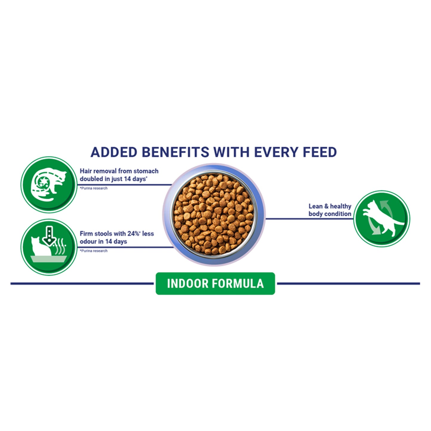 PURINA ONE Dry Cat Food