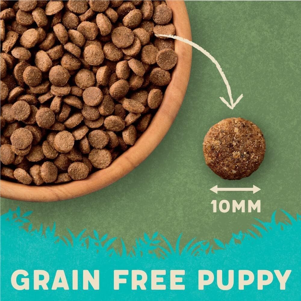 Harringtons Superfoods Complete Grain Free Hypoallergenic Dry Adult Dog Food - Made with All Natural Ingredients