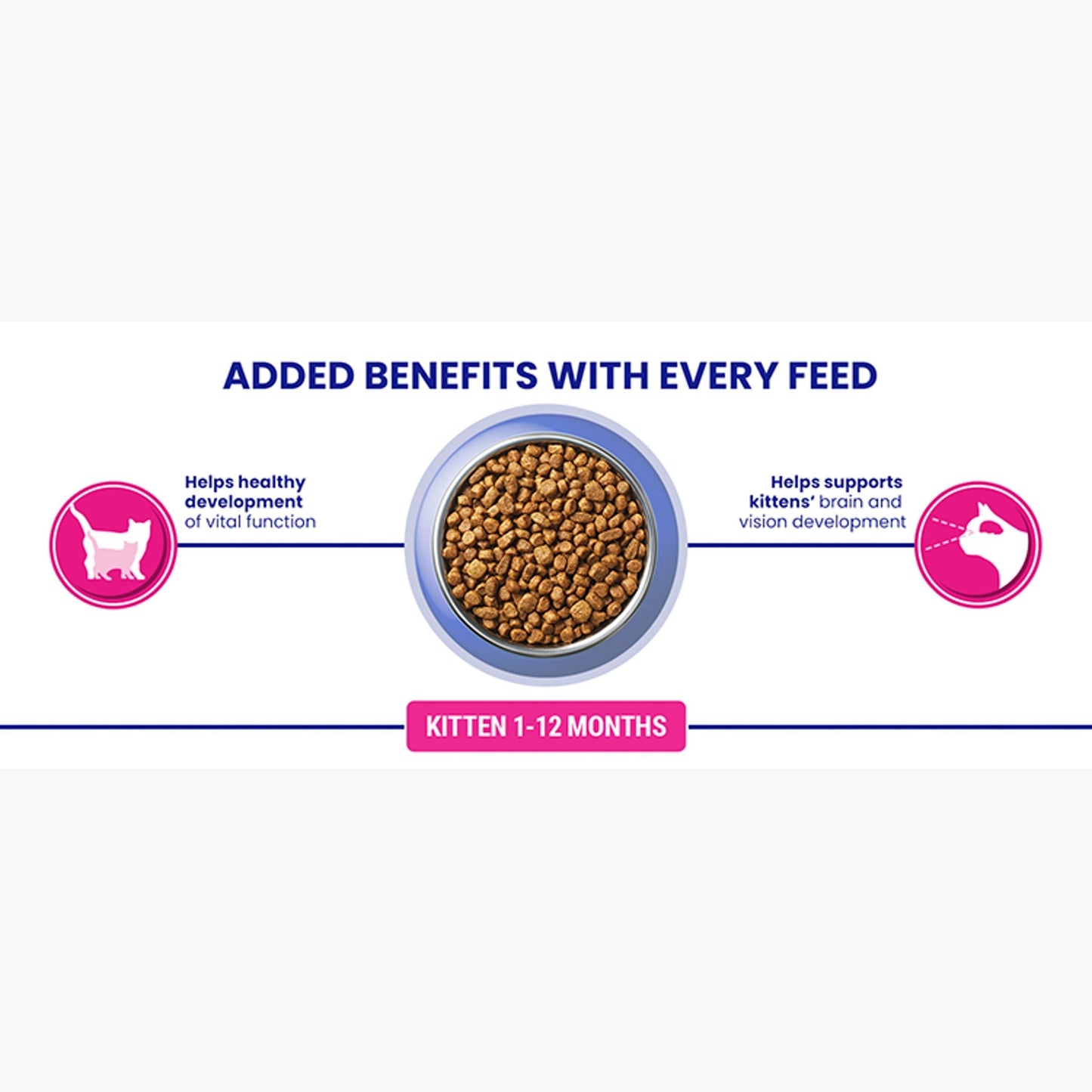 PURINA ONE | Dry Cat Food