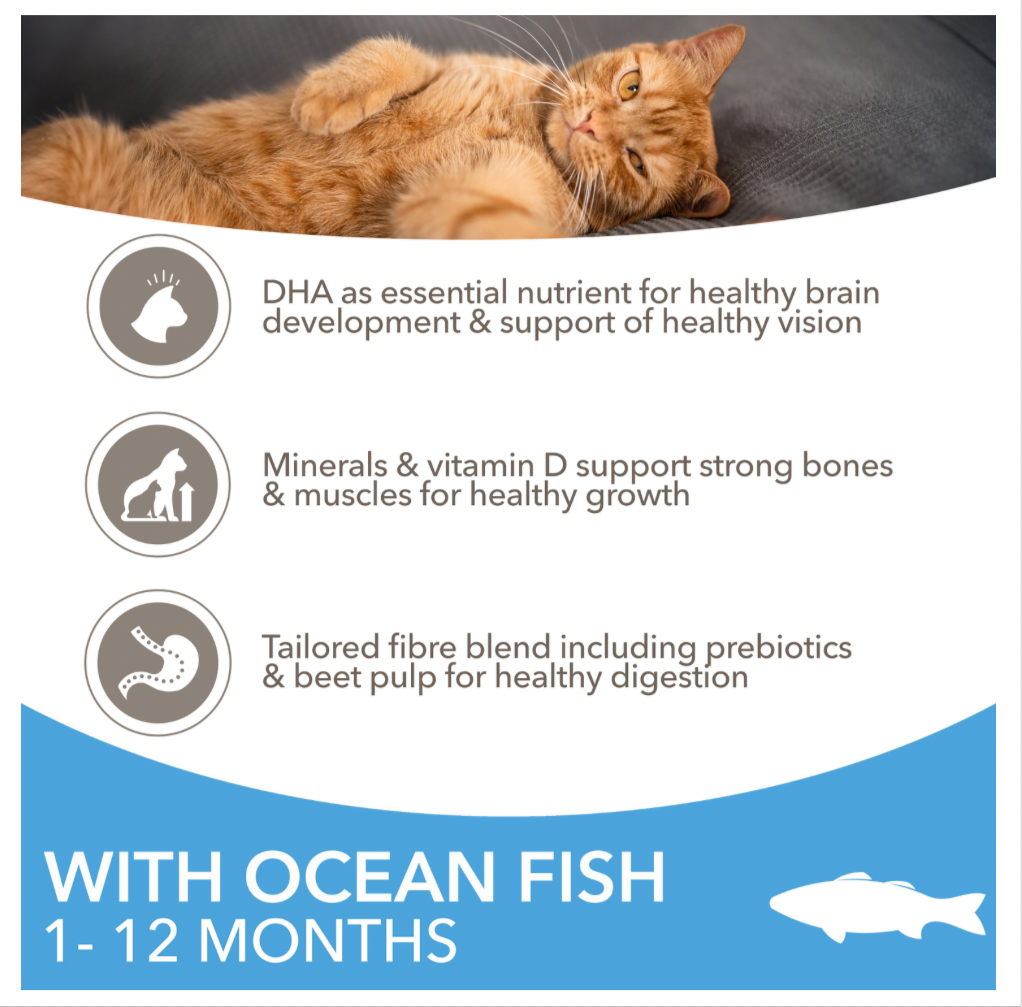 IAMS Ocean Fish Kitten 1-12 months 2 x 2kg