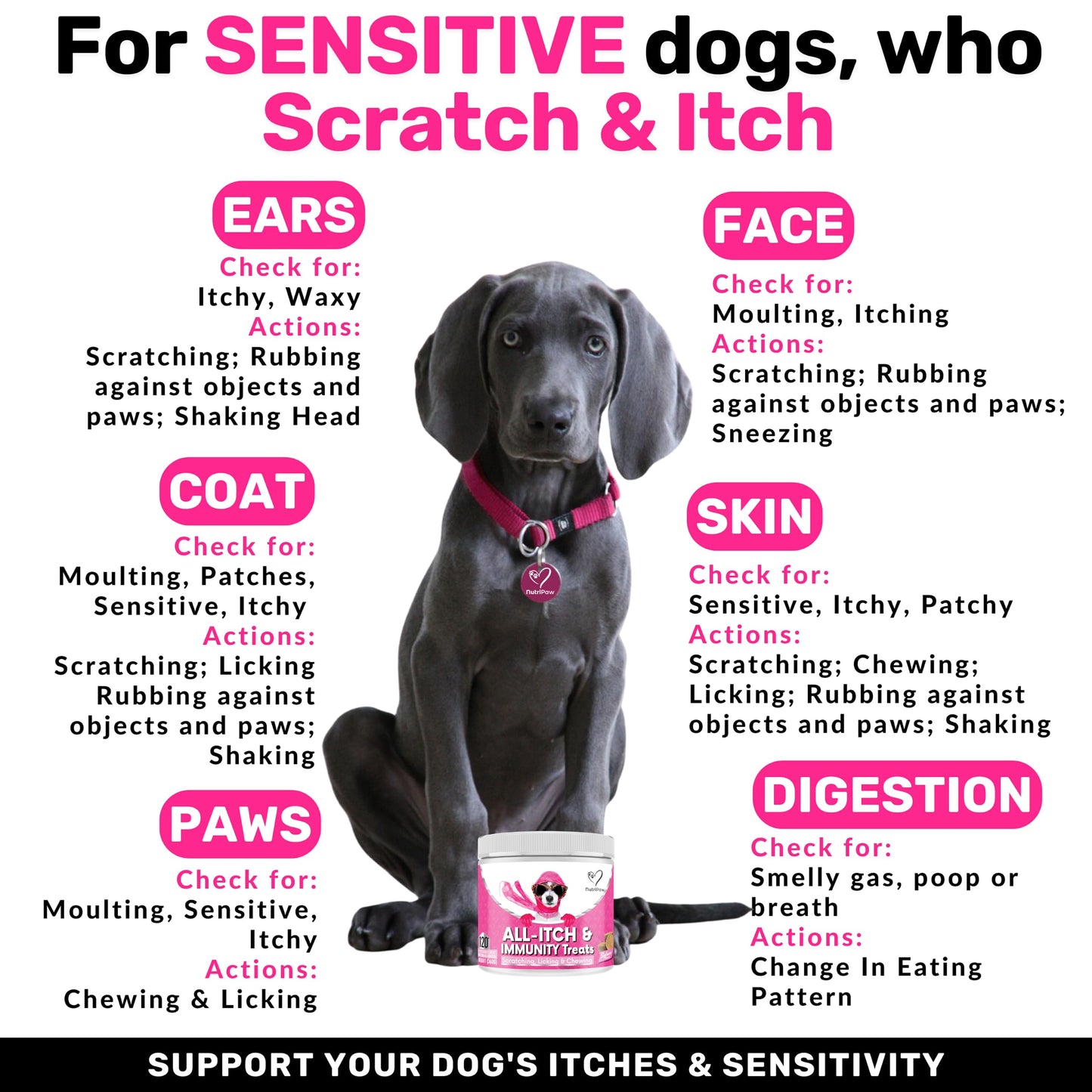 NutriPaw All-Itch, Flea & Tick Treats For Dogs - Soothe Itchy Paws, Eyes, Ears, Skin - Naturally Control Fleas & Ticks - Good for Small, Medium & Large Dogs - Supports Seasonal Itching