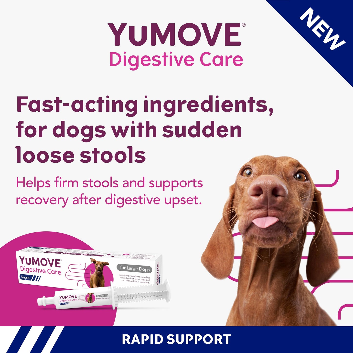 YuMOVE Digestive Care Rapid, Dog Pre and Probiotic Paste for Gut Health, Digestive Supplements with Fast-Acting Ingredients for Medium Dogs, 30ml