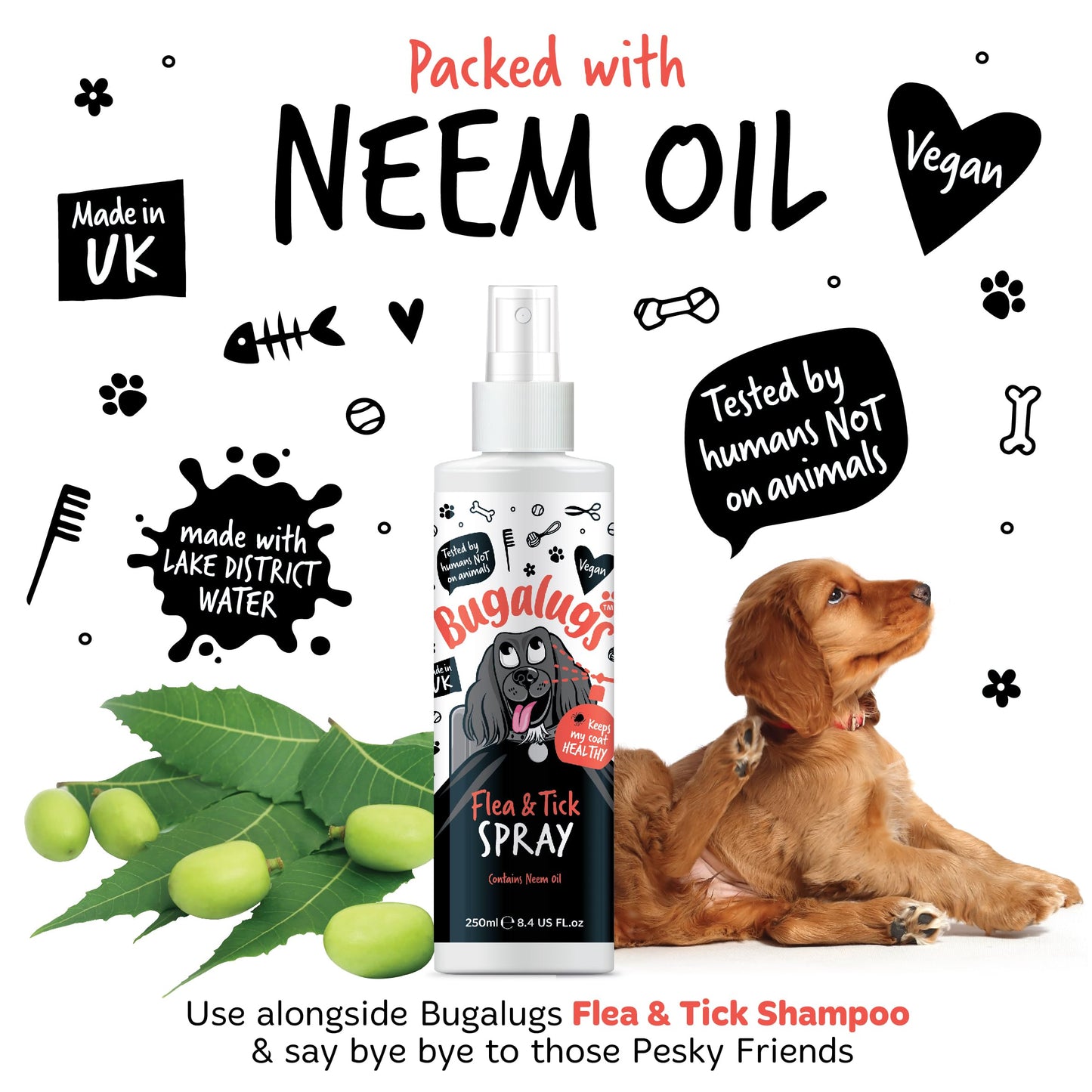 Flea and Tick Dog Shampoo by Bugalugs, Works on Smelly Puppies & Dogs, Contains Neem Oil PH Balanced Vegan Used by Professional Groom (Shampoo 500ml)