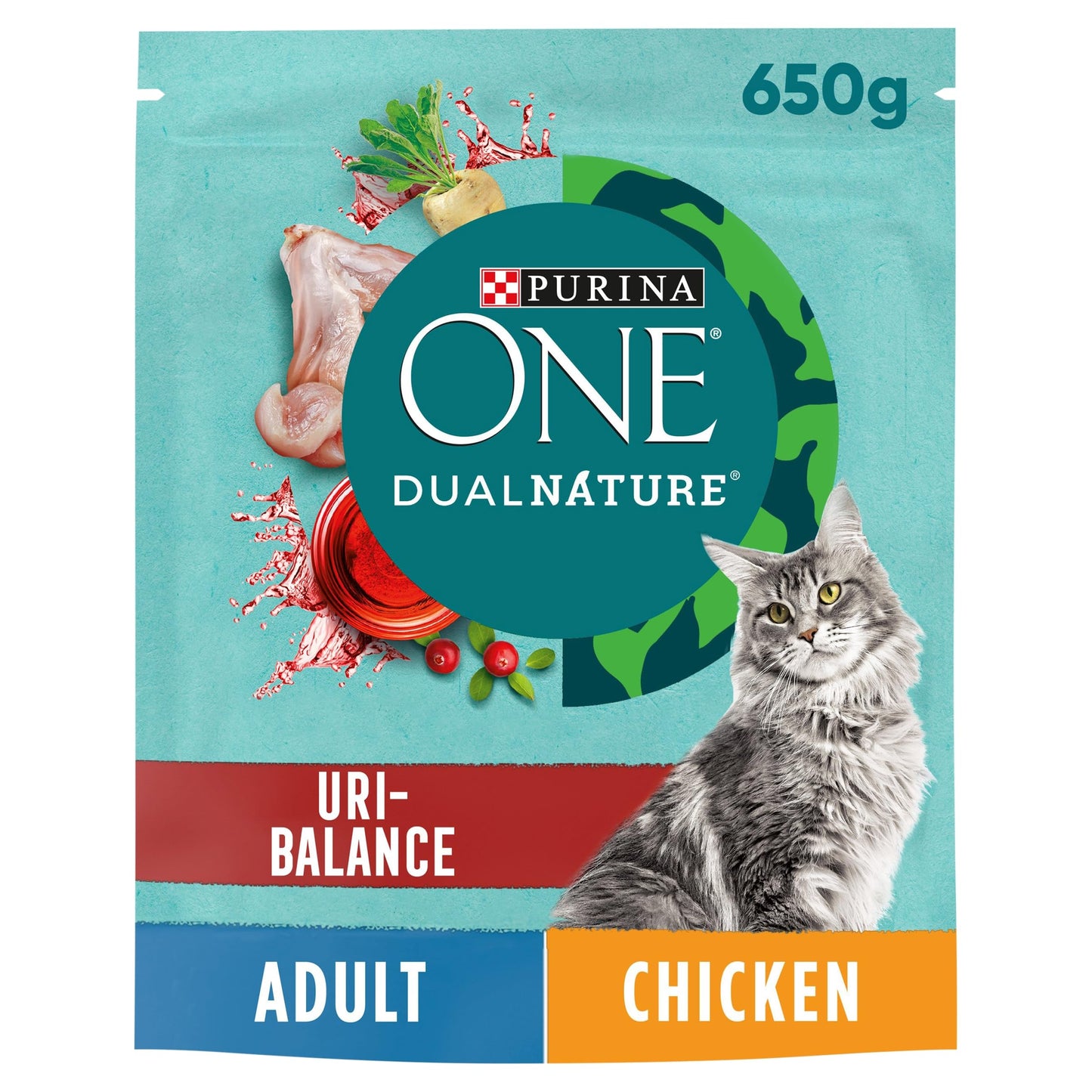 PURINA ONE Dry Cat Food