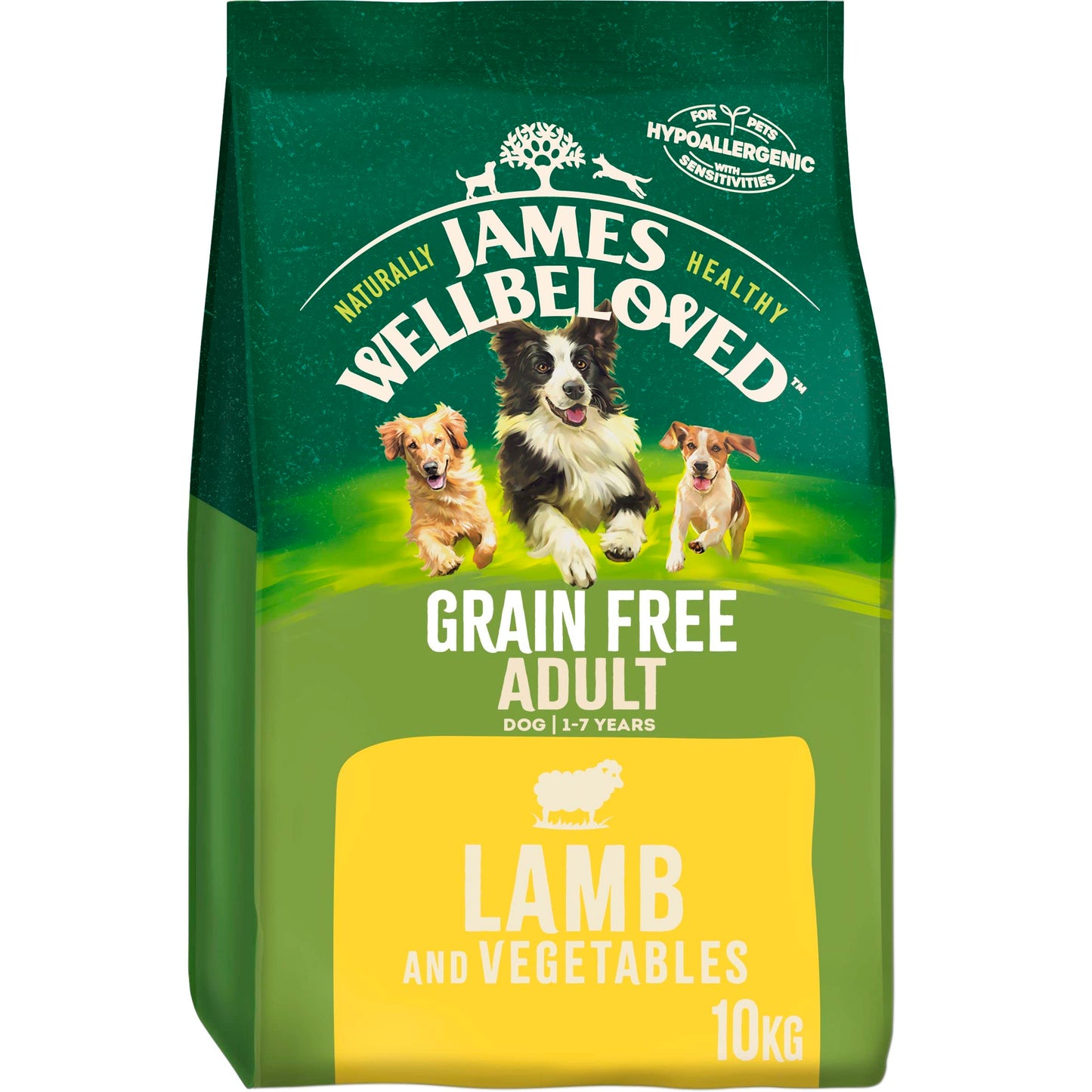 James Wellbeloved Dog Adult Hypoallergenic Dry Food Grain Free