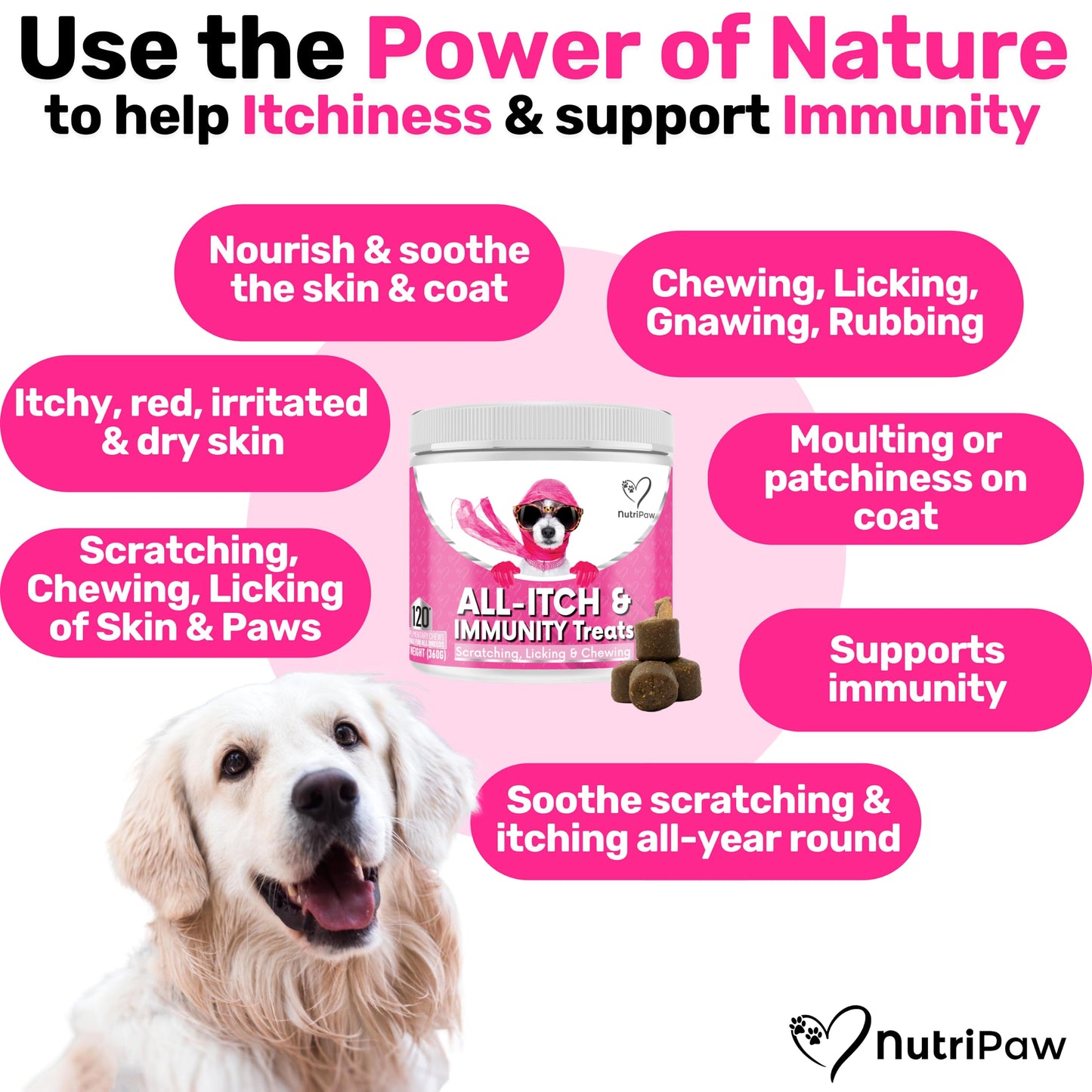 NutriPaw All-Itch, Flea & Tick Treats For Dogs - Soothe Itchy Paws, Eyes, Ears, Skin - Naturally Control Fleas & Ticks - Good for Small, Medium & Large Dogs - Supports Seasonal Itching