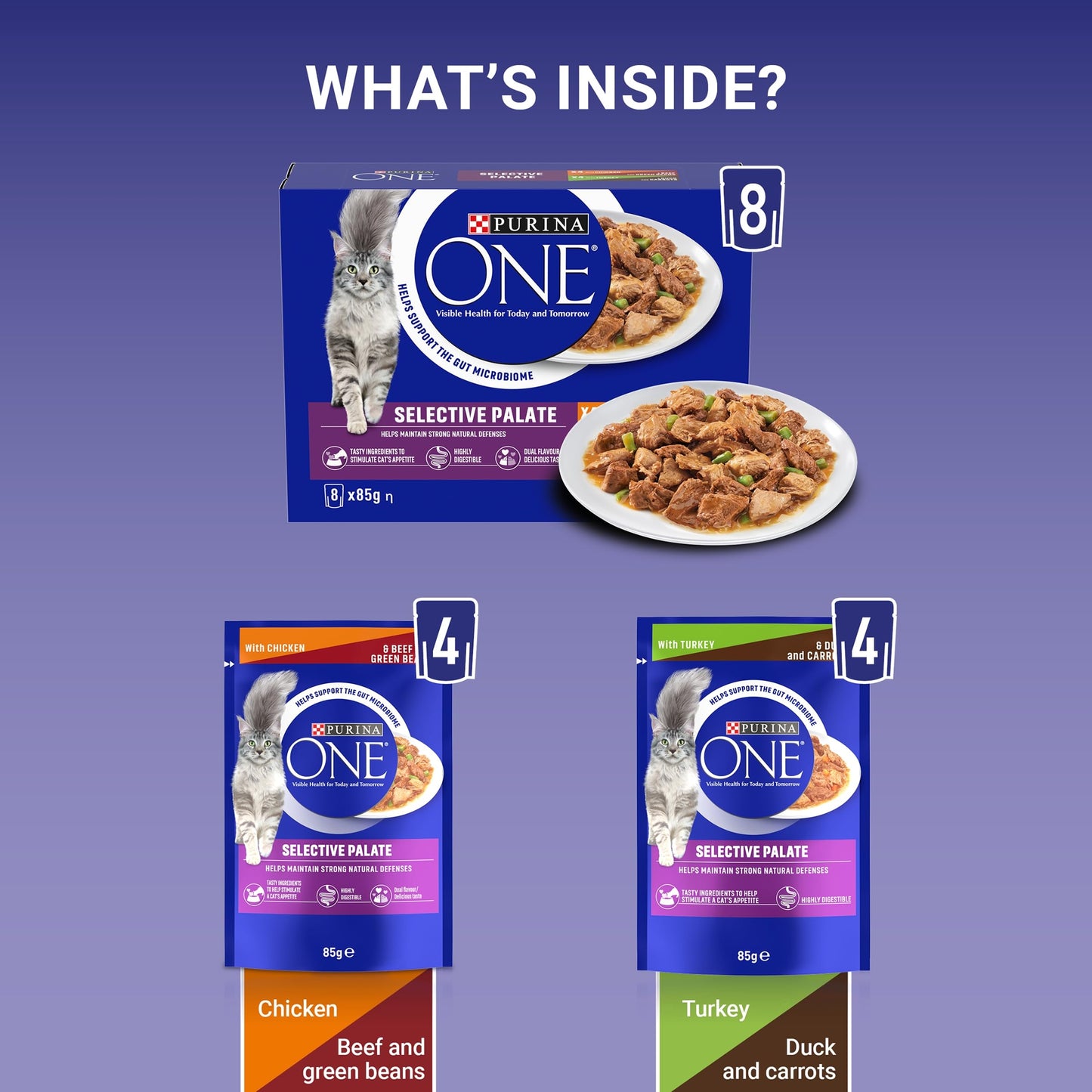 PURINA ONE Adult Cat Food Mini Fillets in Gravy 40 x 85g