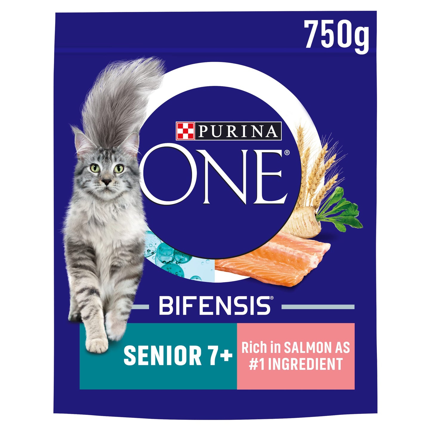 PURINA ONE Dry Cat Food
