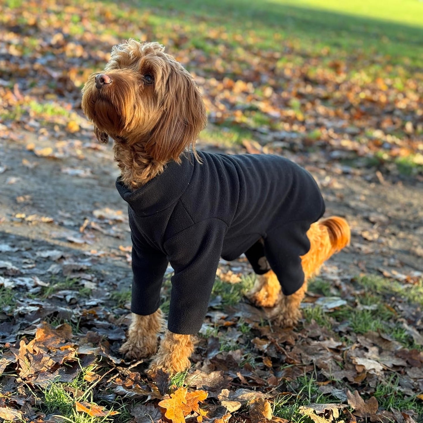 Warm Four-Legged Dog Fleece – Super Soft, Weather-Resistant, Available in a Range of Sizes and Colours