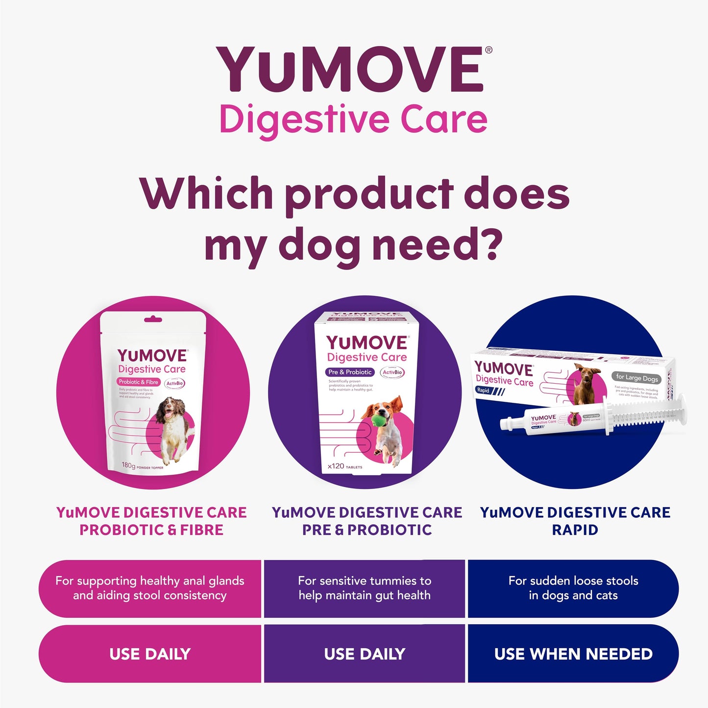 YuMOVE Digestive Care Rapid, Dog Pre and Probiotic Paste for Gut Health, Digestive Supplements with Fast-Acting Ingredients for Medium Dogs, 30ml