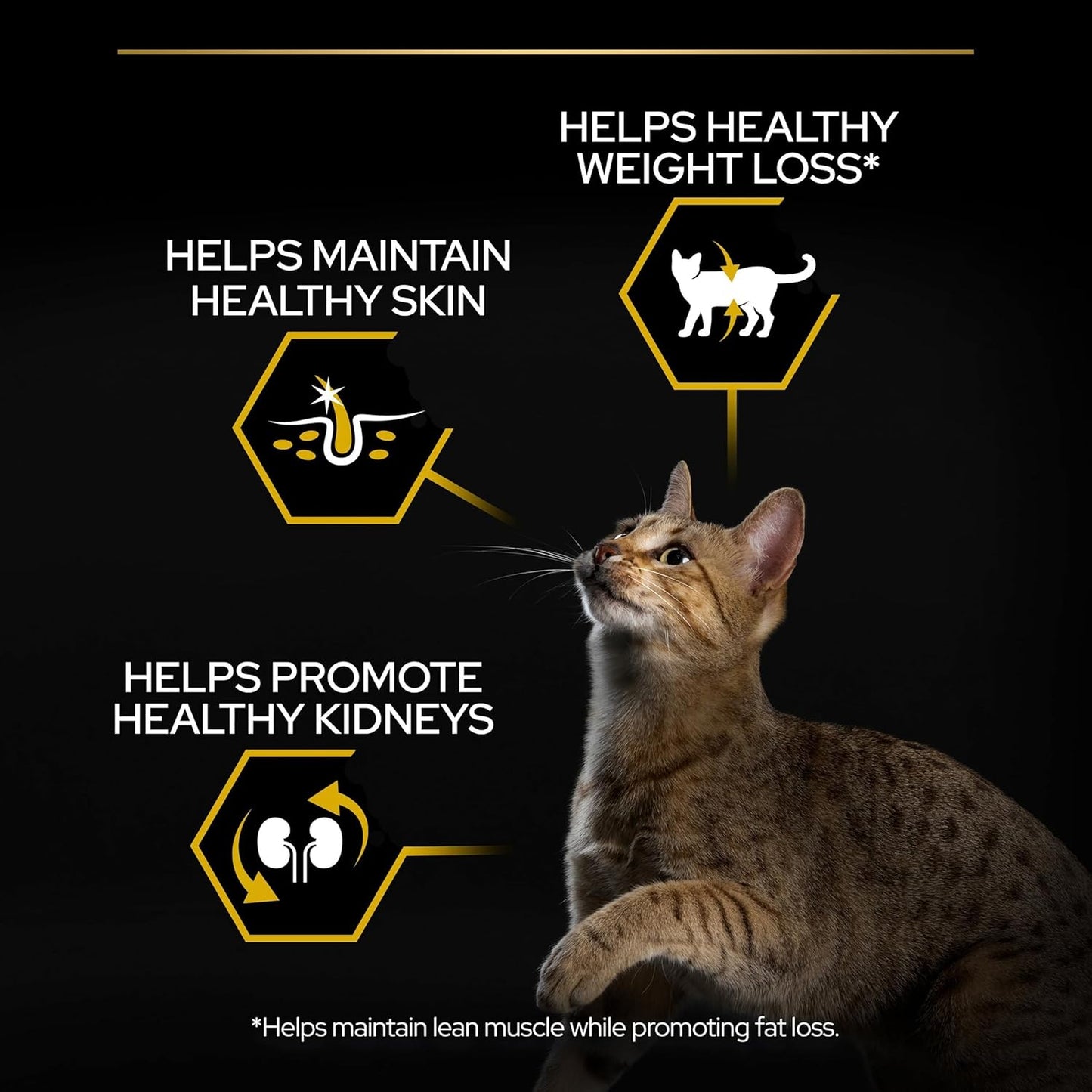PRO PLAN® Adult 1+ RENAL PLUS Dry Cat Food