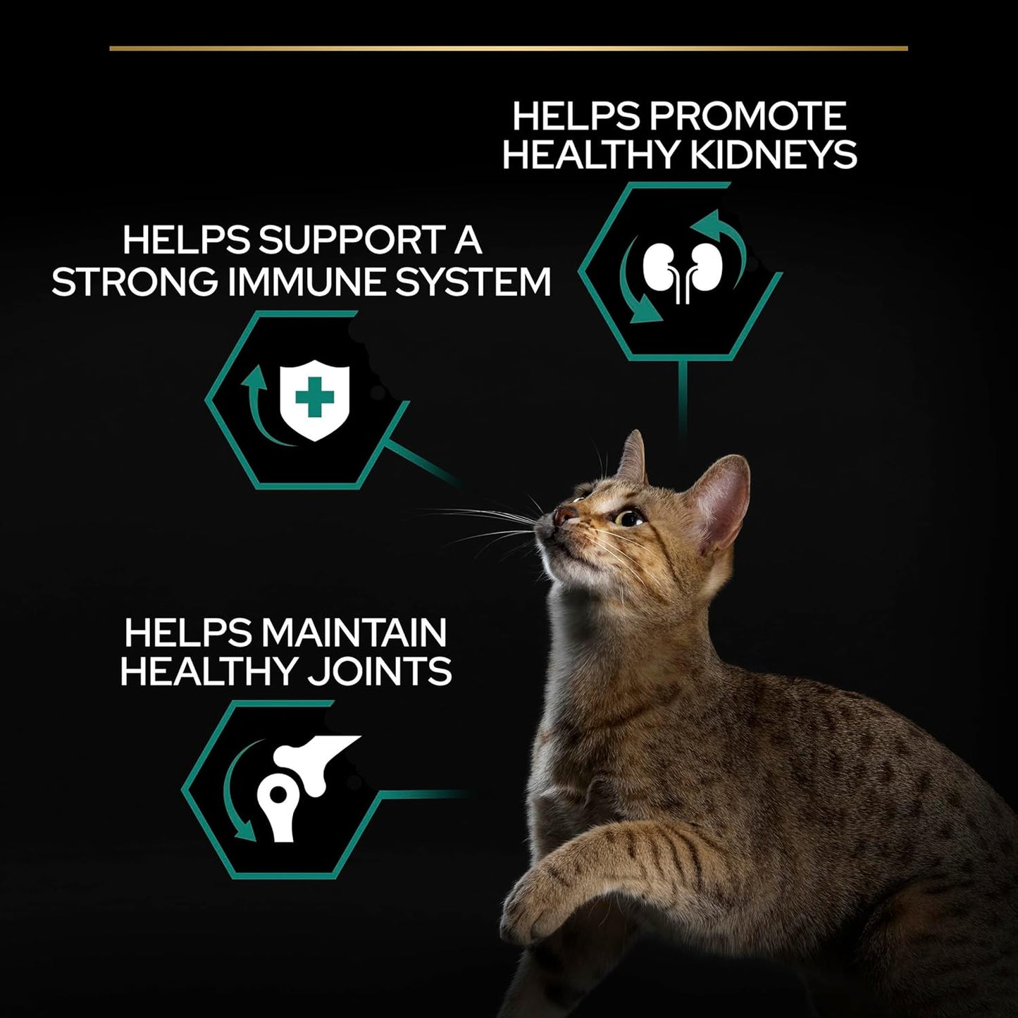 PRO PLAN® Adult 1+ RENAL PLUS Dry Cat Food