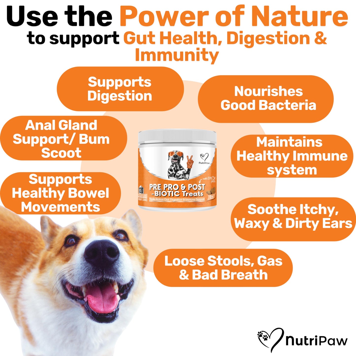 NutriPaw All-Itch, Flea & Tick Treats For Dogs - Soothe Itchy Paws, Eyes, Ears, Skin - Naturally Control Fleas & Ticks - Good for Small, Medium & Large Dogs - Supports Seasonal Itching