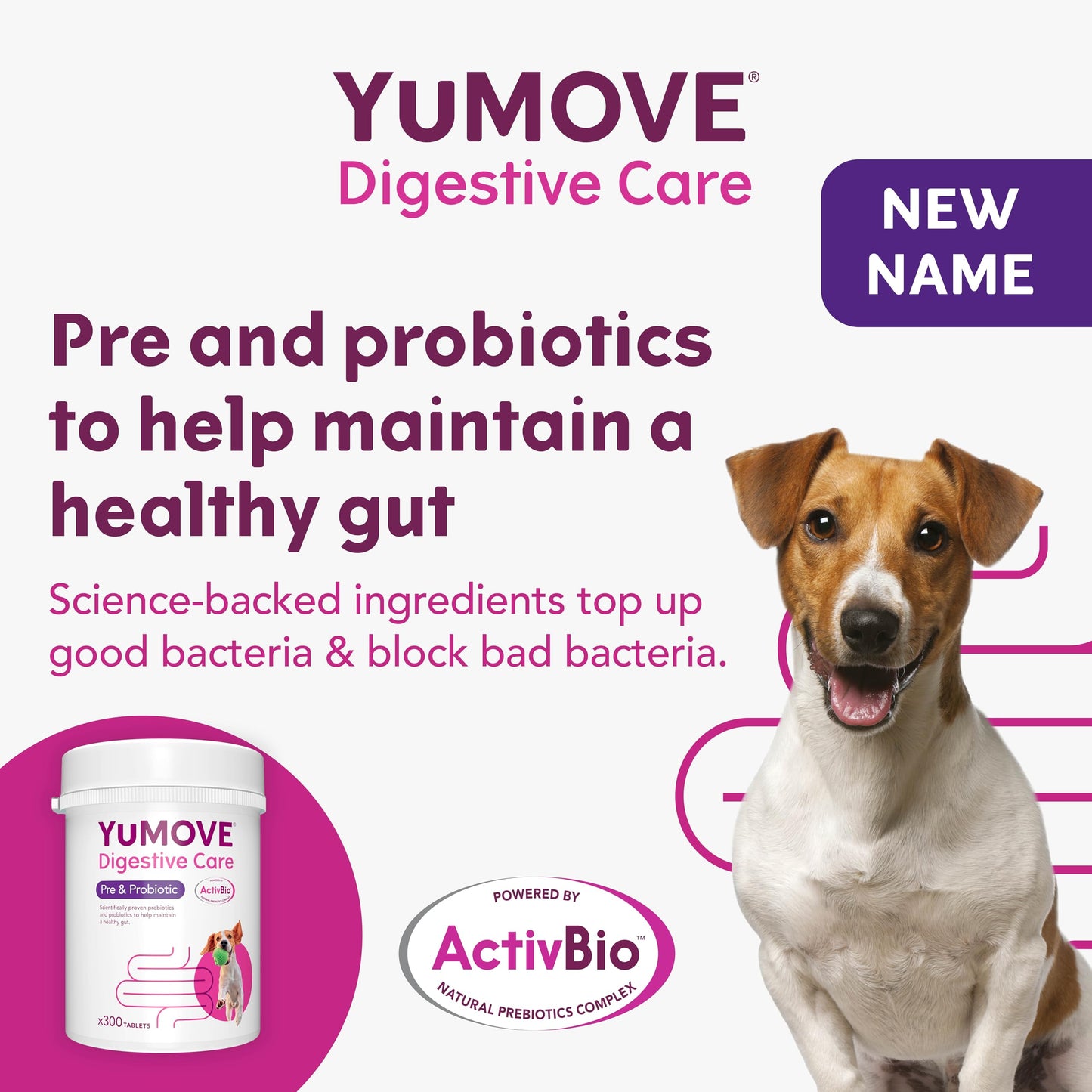 YuMOVE Digestive Care, Dog Pre and Probiotics Supplement for Gut Health, Digestive Support for All Ages and Breeds, 120 Tablets - Eco Friendly and Letter Box Ready Packaging