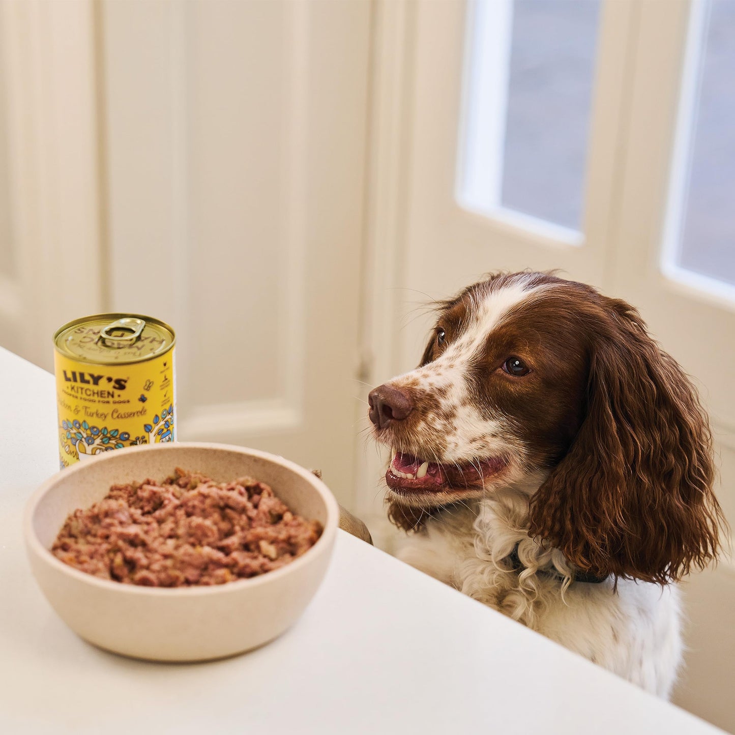 Lily's Kitchen Natural Adult Wet Dog Food Tray Cottage Pie Grain-Free Recipe 10 x 150g