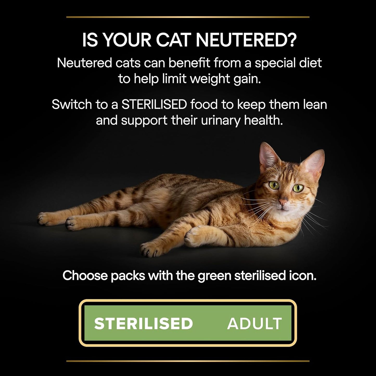 PRO PLAN® Adult 1+ RENAL PLUS Dry Cat Food