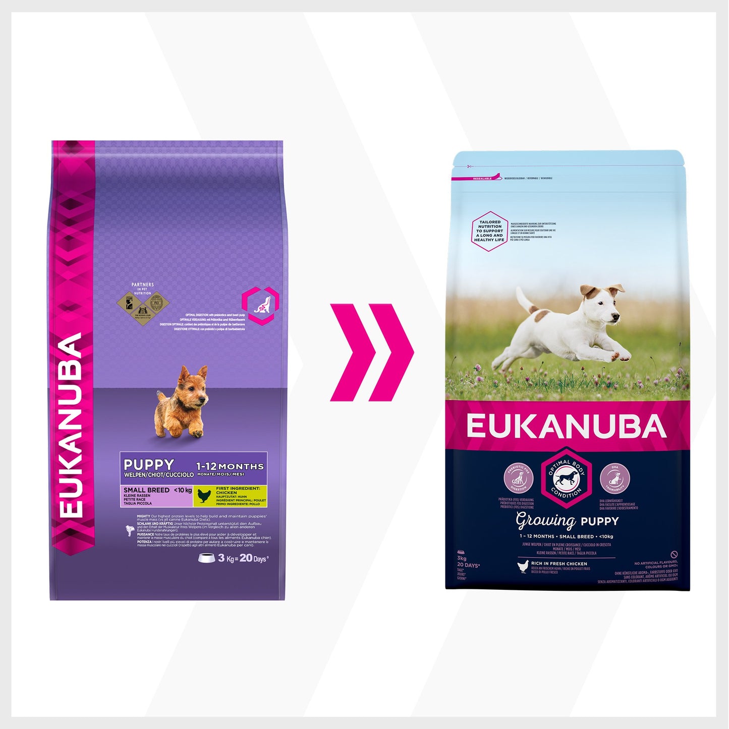 Eukanuba Grain Free Complete Dry Dog Food for Puppy Small and Medium Breeds