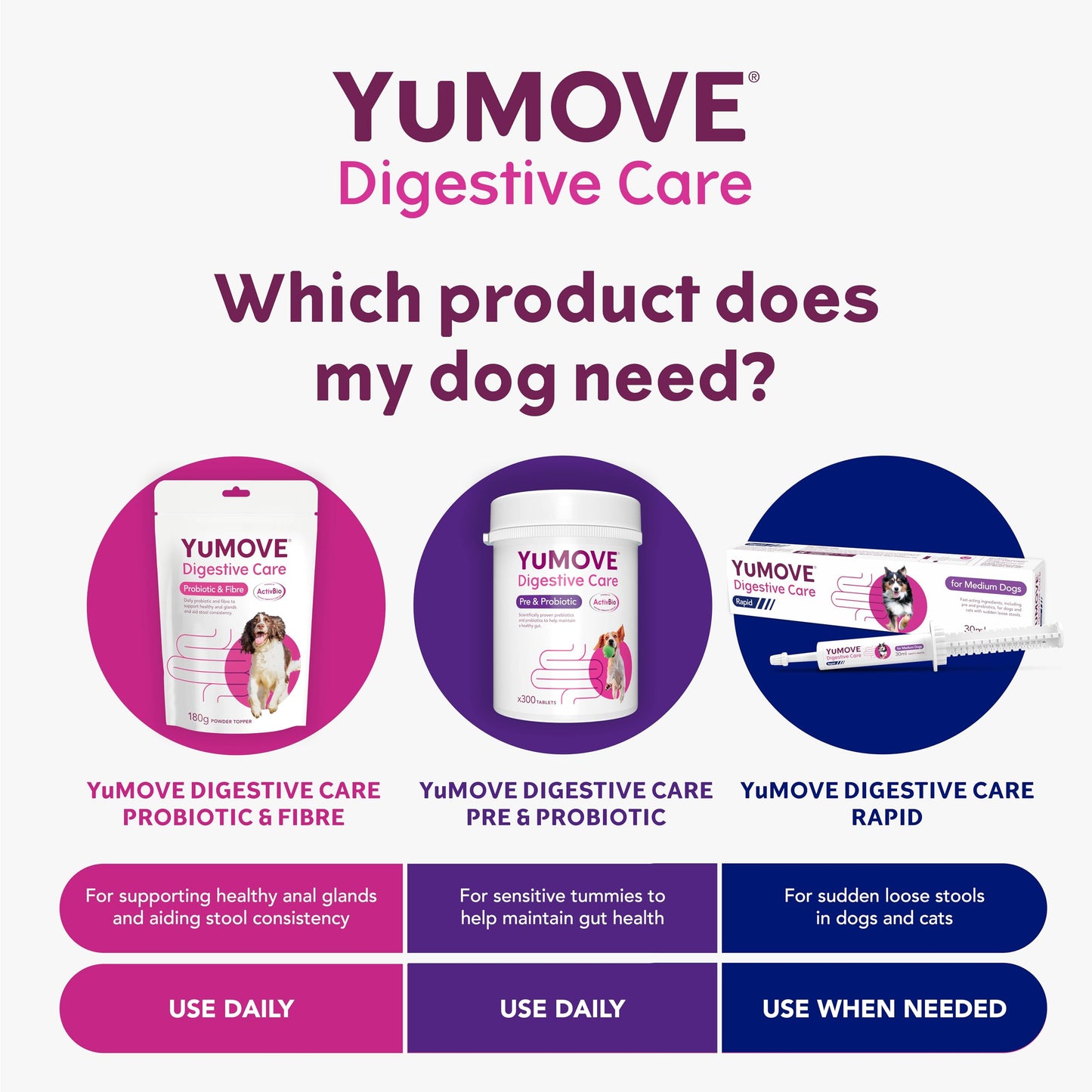YuMOVE Digestive Care, Dog Pre and Probiotics Supplement for Gut Health, Digestive Support for All Ages and Breeds, 120 Tablets - Eco Friendly and Letter Box Ready Packaging